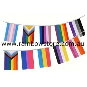 lgbt+ bunting flags