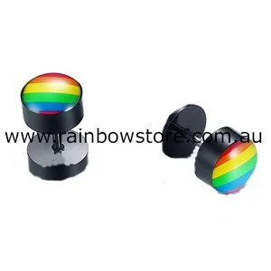 Rainbow Pride Black Stainless Steel Screw Closure Earrings