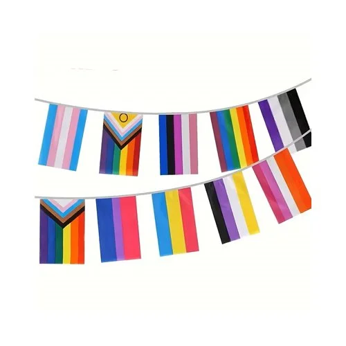 Pride Multi Flag Bunting 30 Medium Mixed 14cm x 21cm