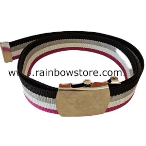 Asexual Vintage NYLON Belt Silver Tone Buckle Ace Pride