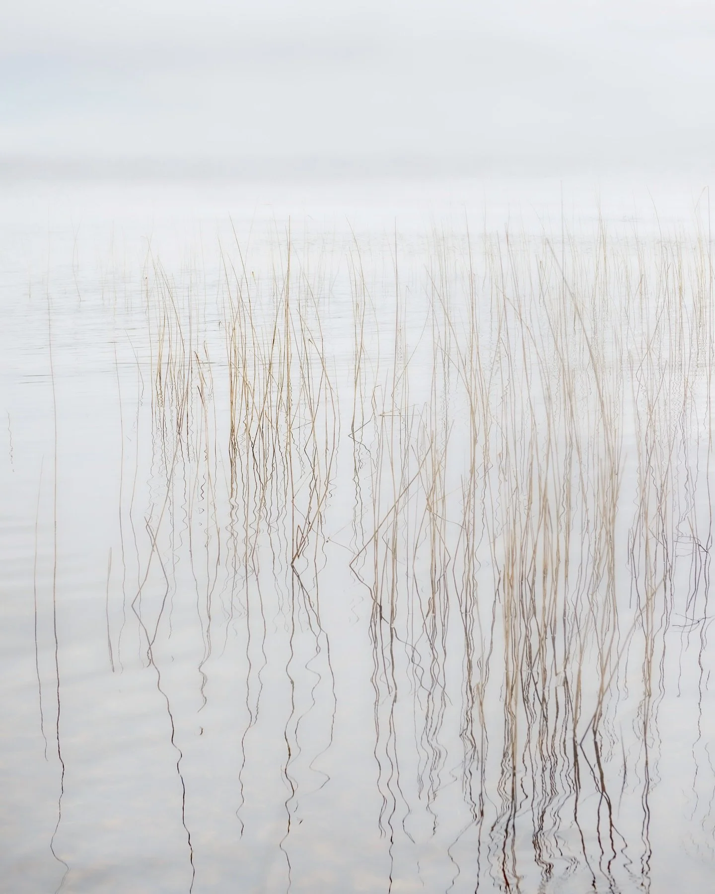 Sometimes it&rsquo;s the things we easily overlook that offers the most beauty in life. #landscape #seascape #photography #leica #leicacamera