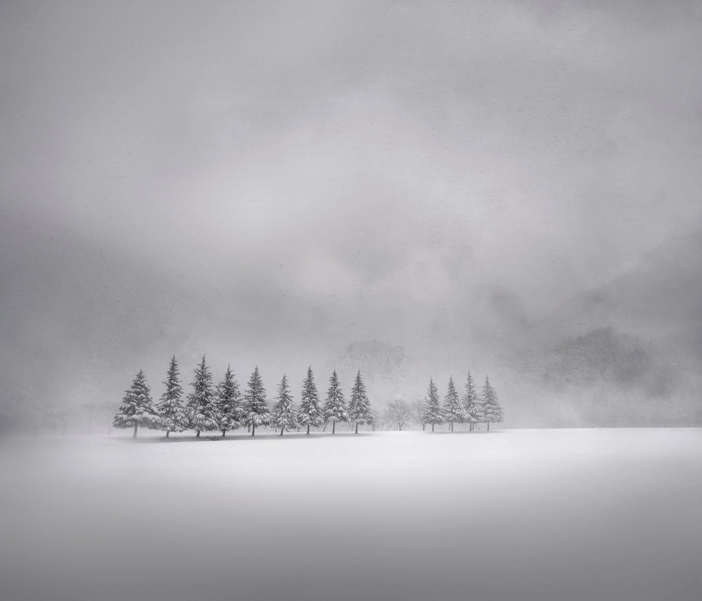 Snowstorm_Marcus-Bell_a.jpg