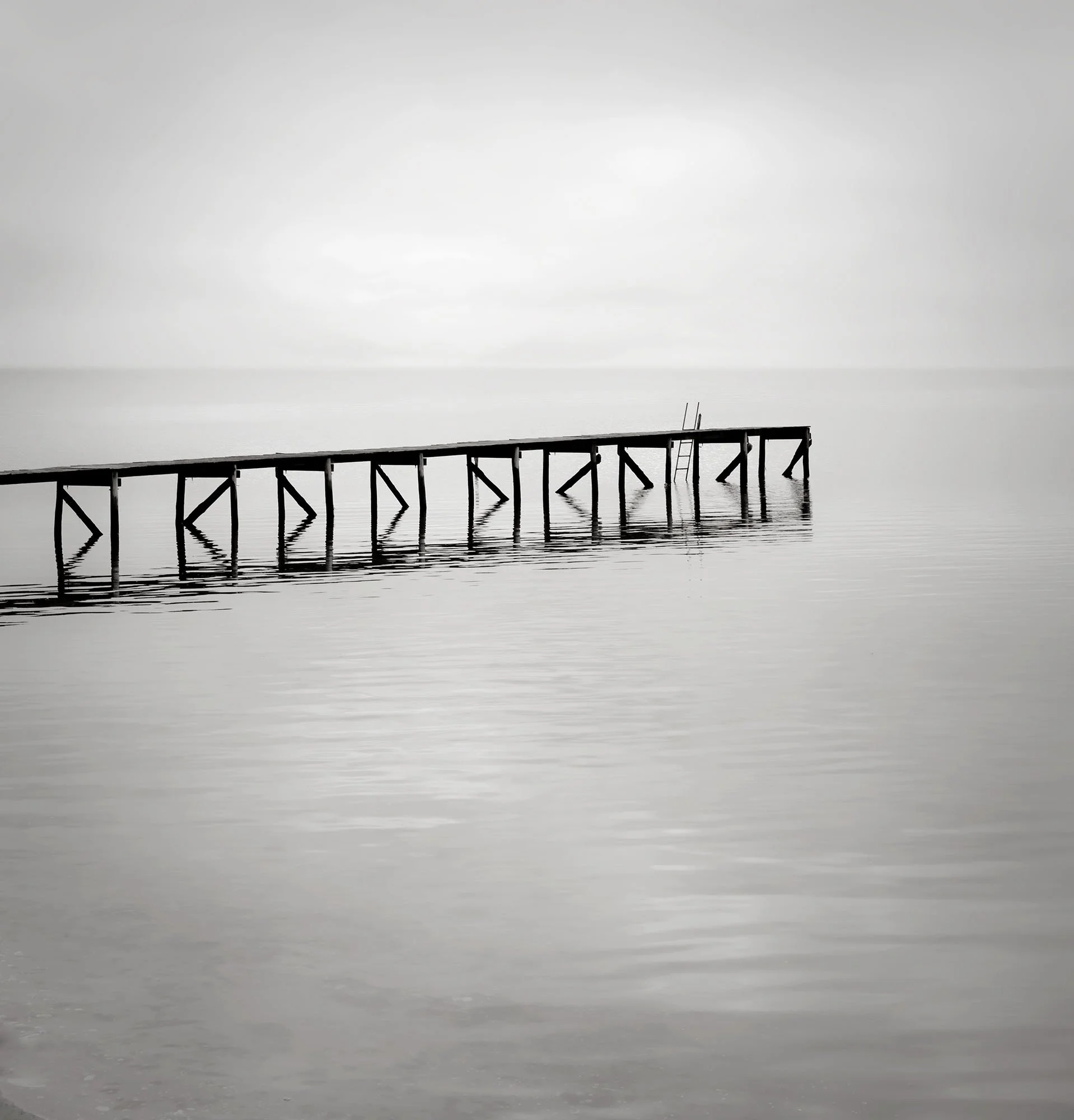 THE-JETTY_MARCUS-BELL.jpg