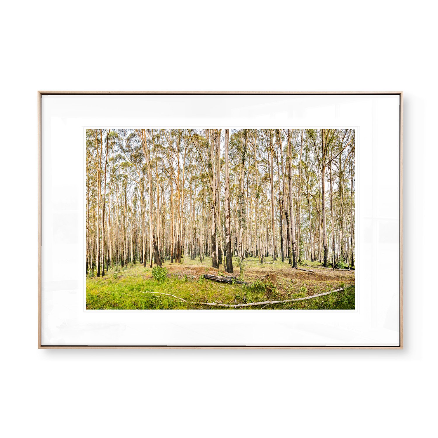 ReGrowth-FRAME MATT-ASH-1500px.jpg