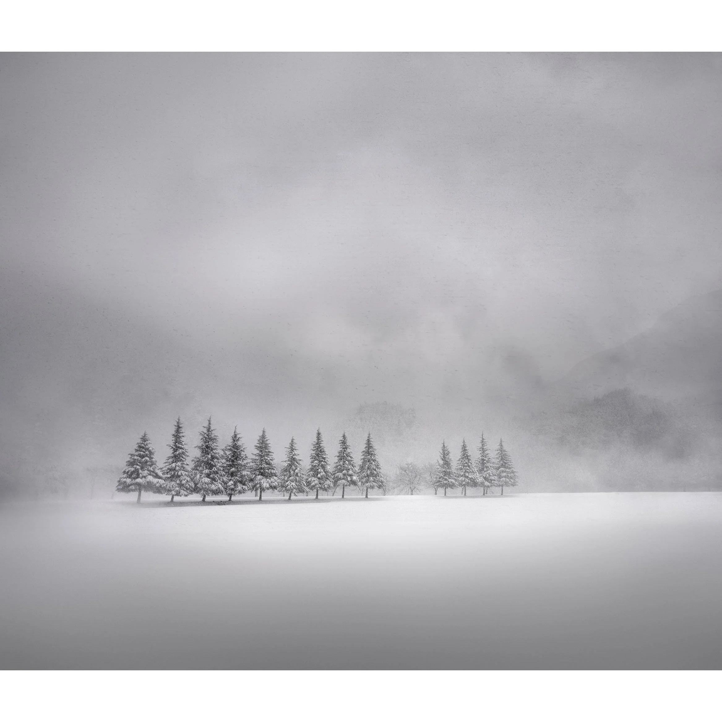 Snowstorm_Marcus-Bell_sq.jpg