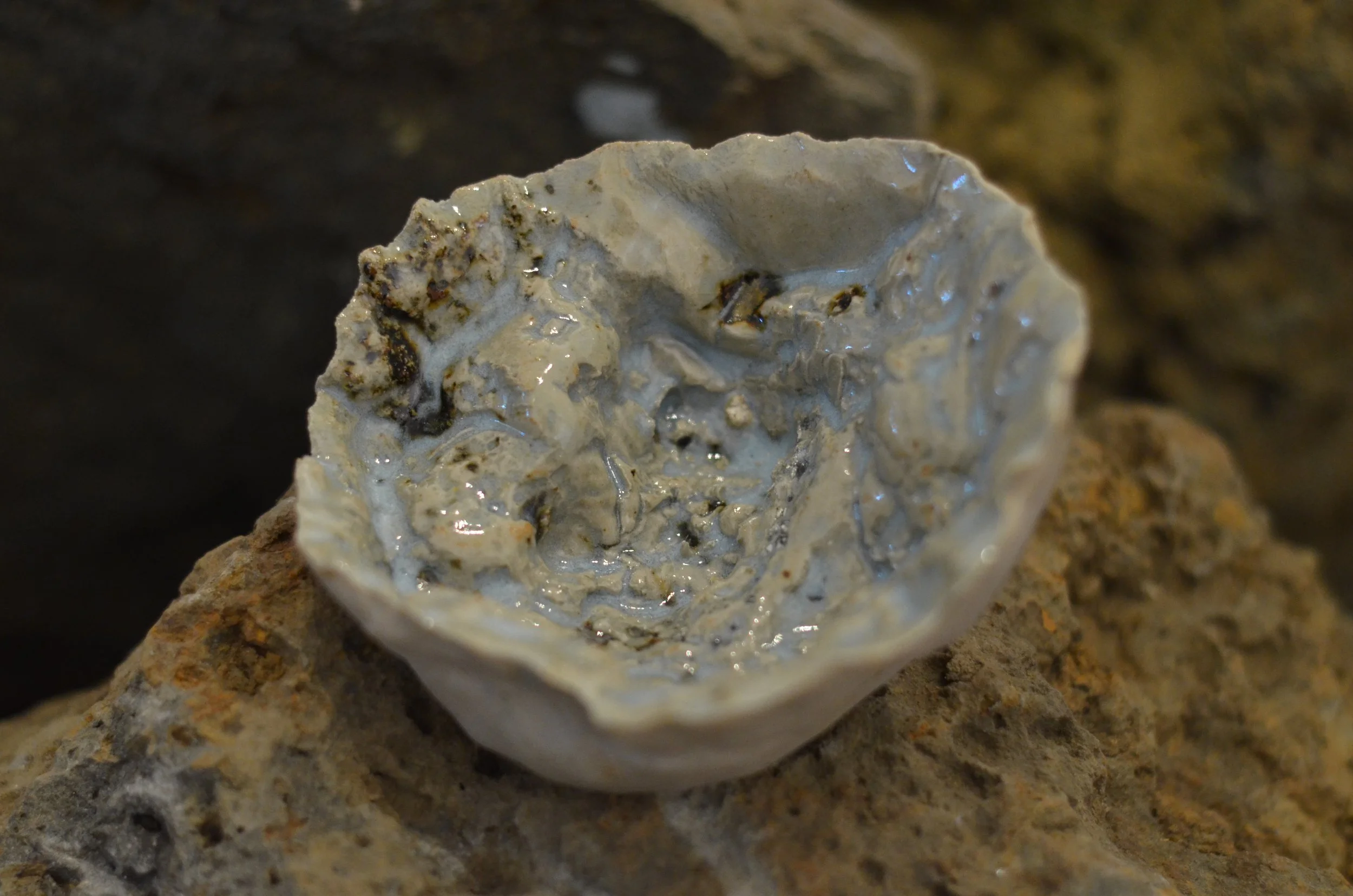 DSC_0642.JPG