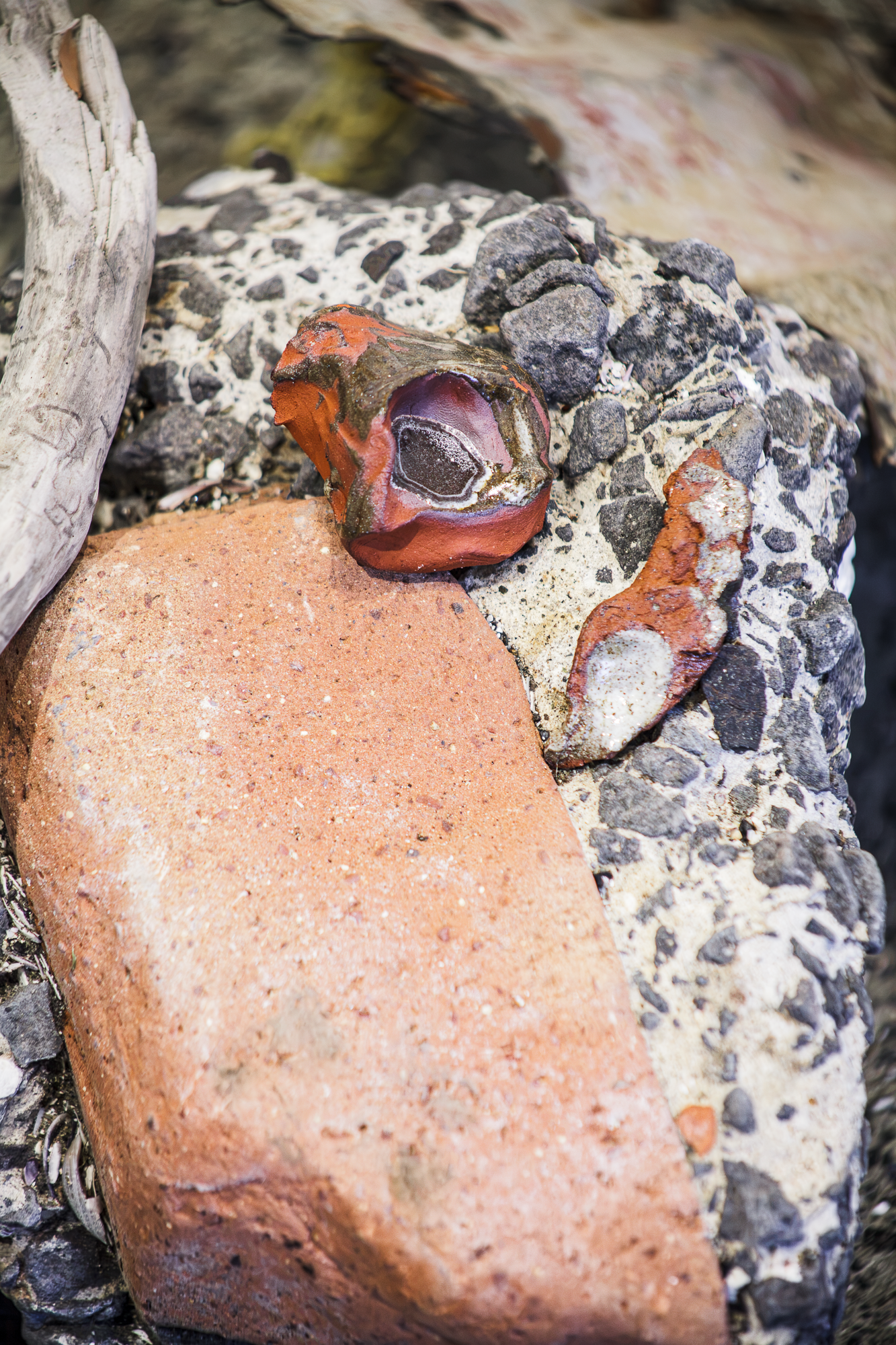 Pomacy_SaltCrusted (10 of 14).png