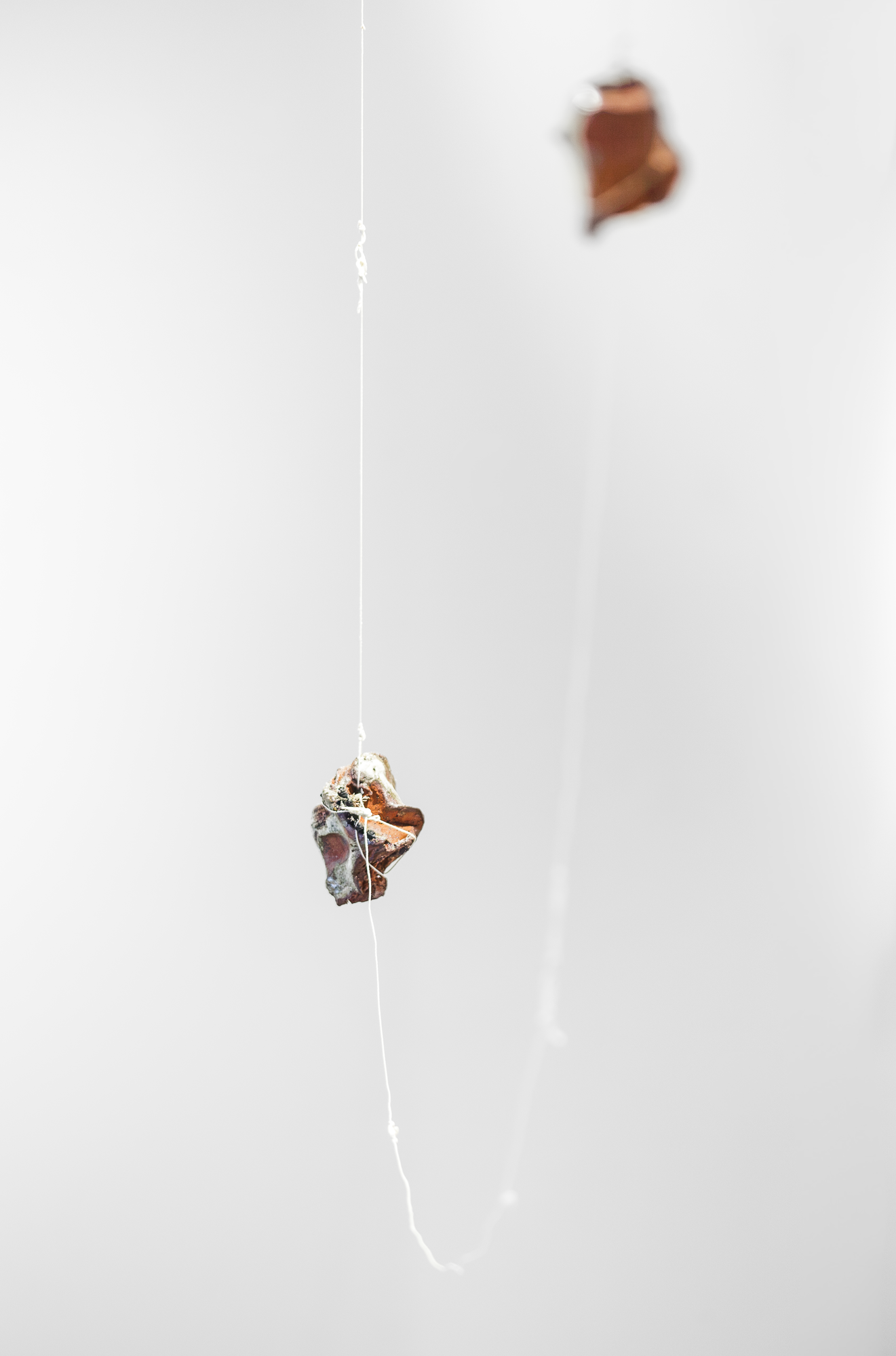 Pomacy_SaltCrusted (4 of 4).png