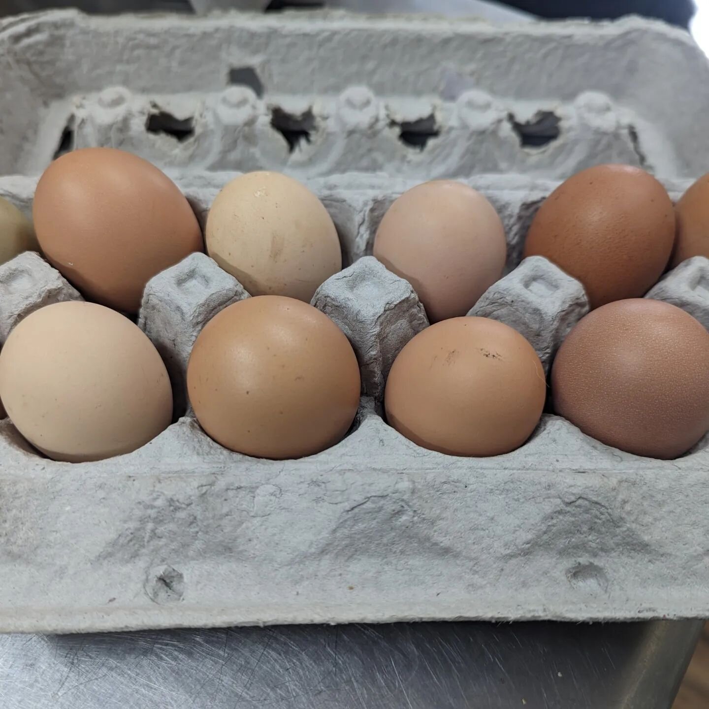 The farm stand is stocked with fresh eggs. The girls are laying again. We're only at half capacity right now, but steadily gaming is a light returns.

Pick up your eggs today! 

And just to show you how beautiful our rooster is, meat King Edward the 