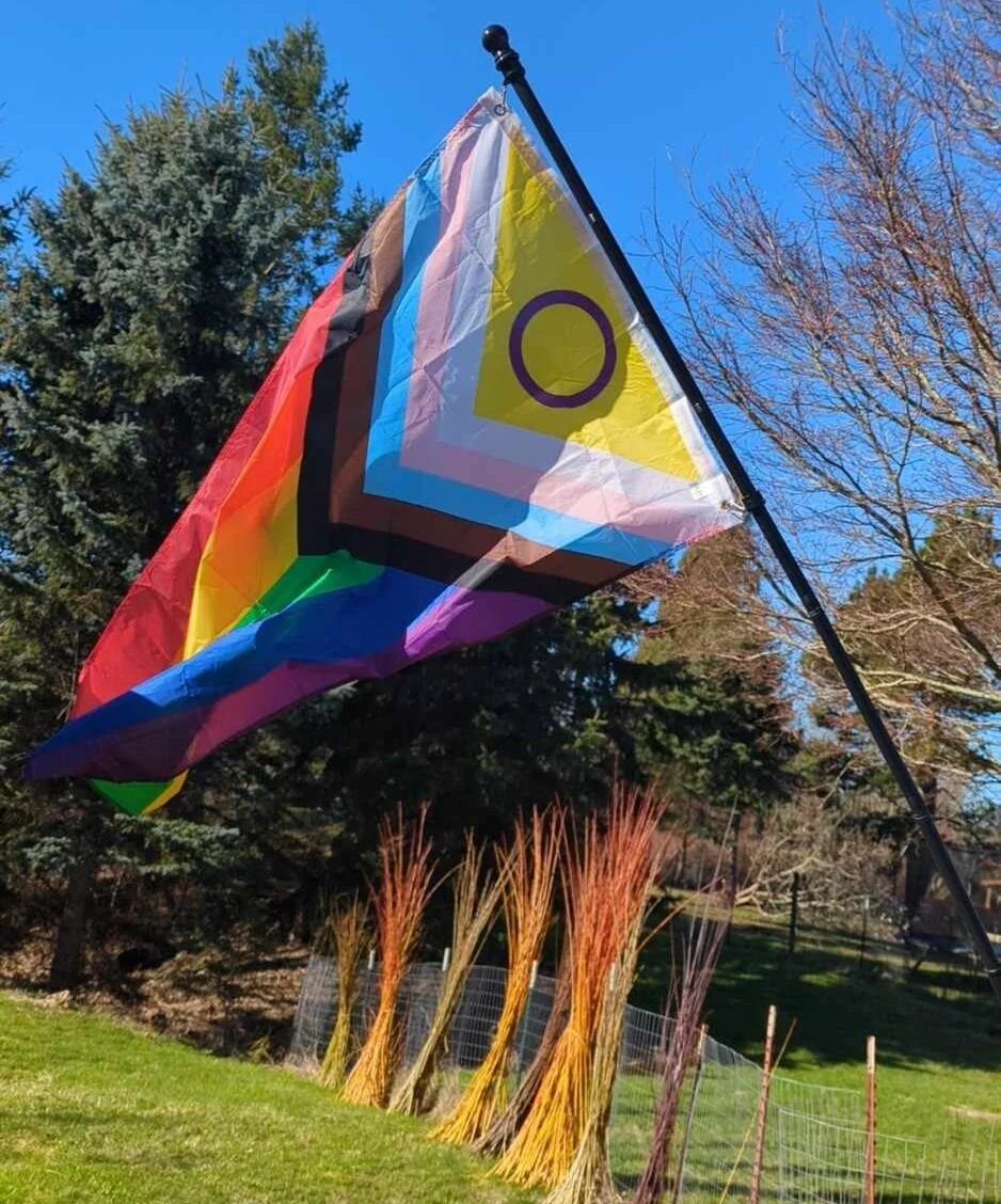 We replaced the wind damaged flags today and my spouse grabbed this beautiful picture of the Willow and the sunshine and our new flags waving in the breeze out front. 

Have a beautiful sunny day.