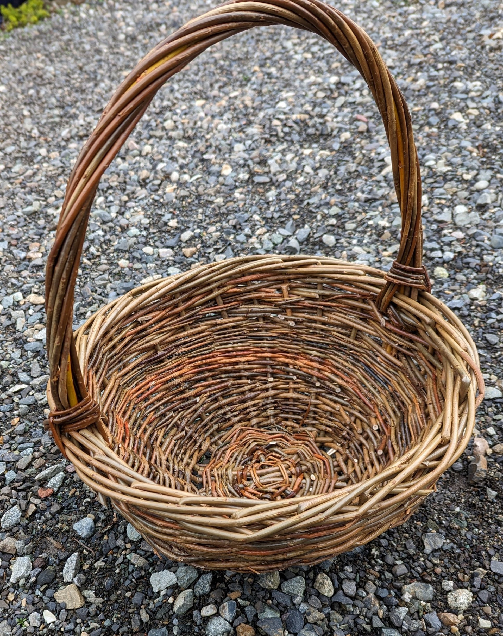 Basketry Willlow weavinging workshop Ferndale Wa. Hedgerow Willows flock & farm willow weaving class, finnsheep wool, basketry willow rods, basketry willow cuttings, and basketry willow weaving