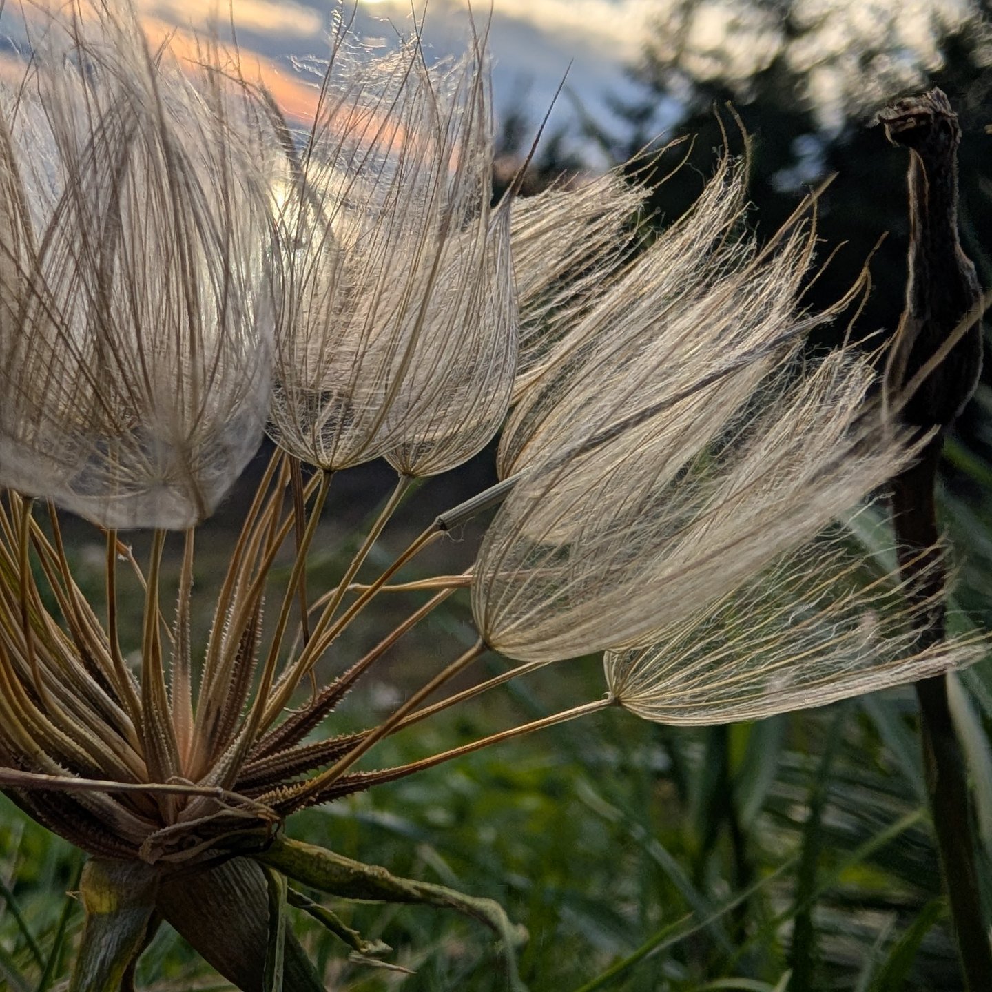 This is going to be a long and challenging update. 

I am not disappearing entirely, but I am pulling back and slowing down. 

With all of you, I have been encouraged and loved stepping out of my comfort zone. Growing something I have dreamed about f