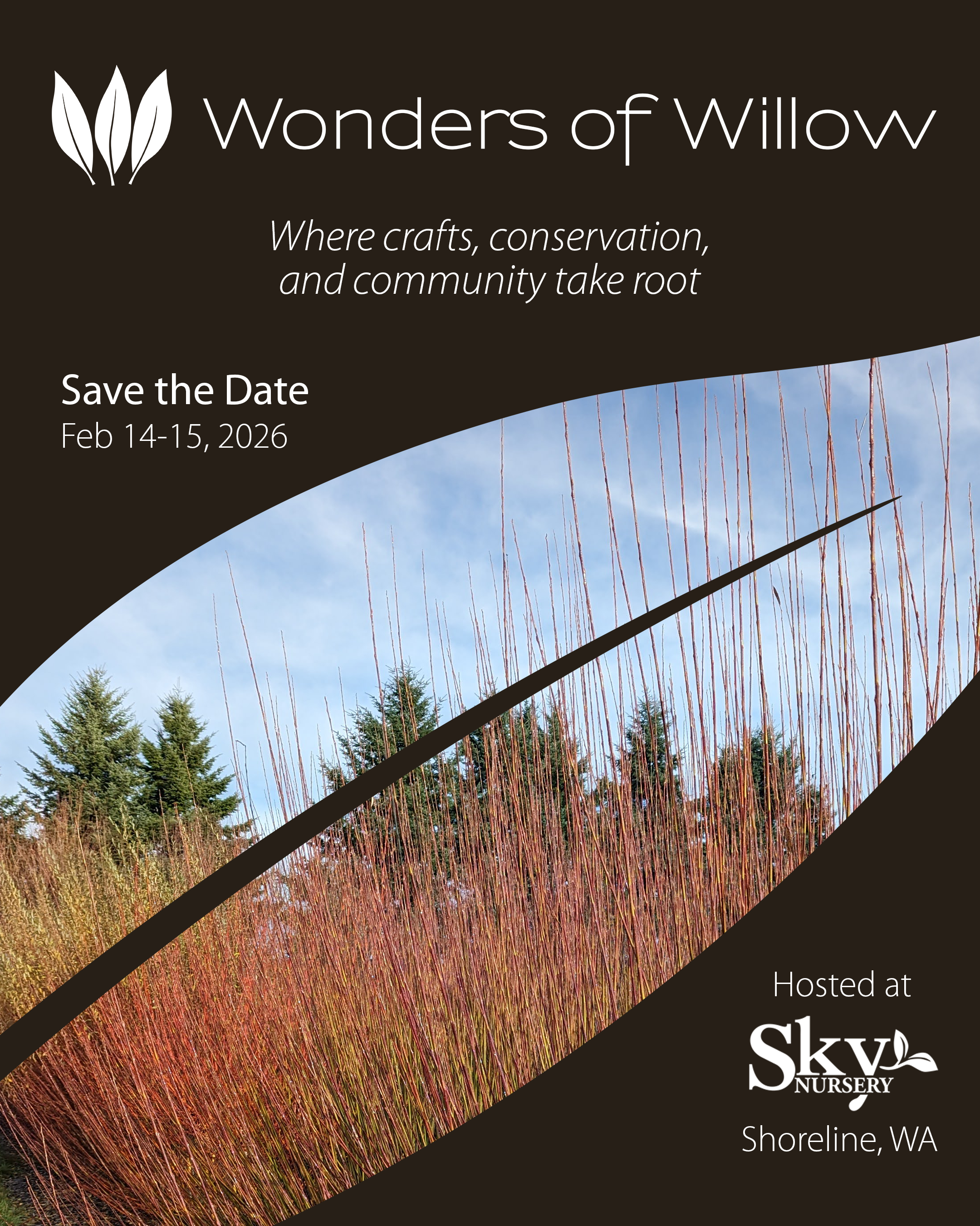 Wonders of Willow
