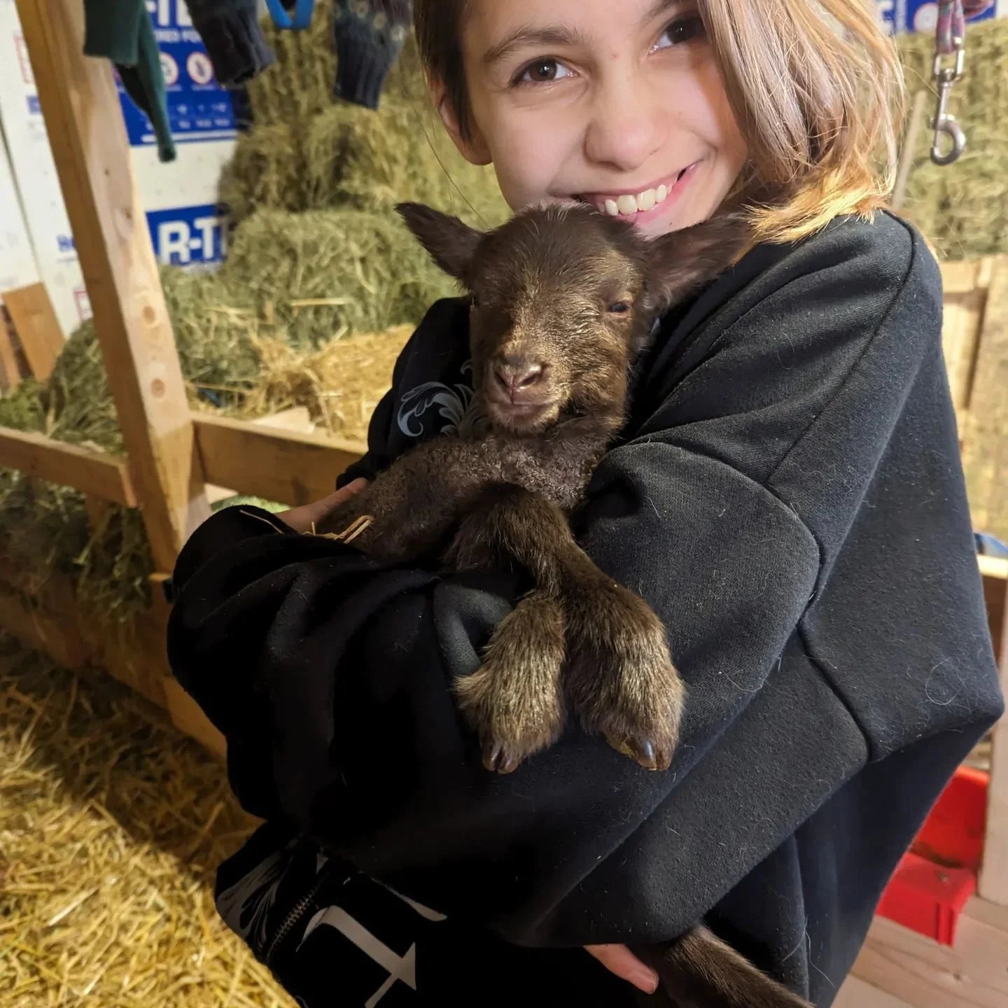 Preparing for Lambing Season