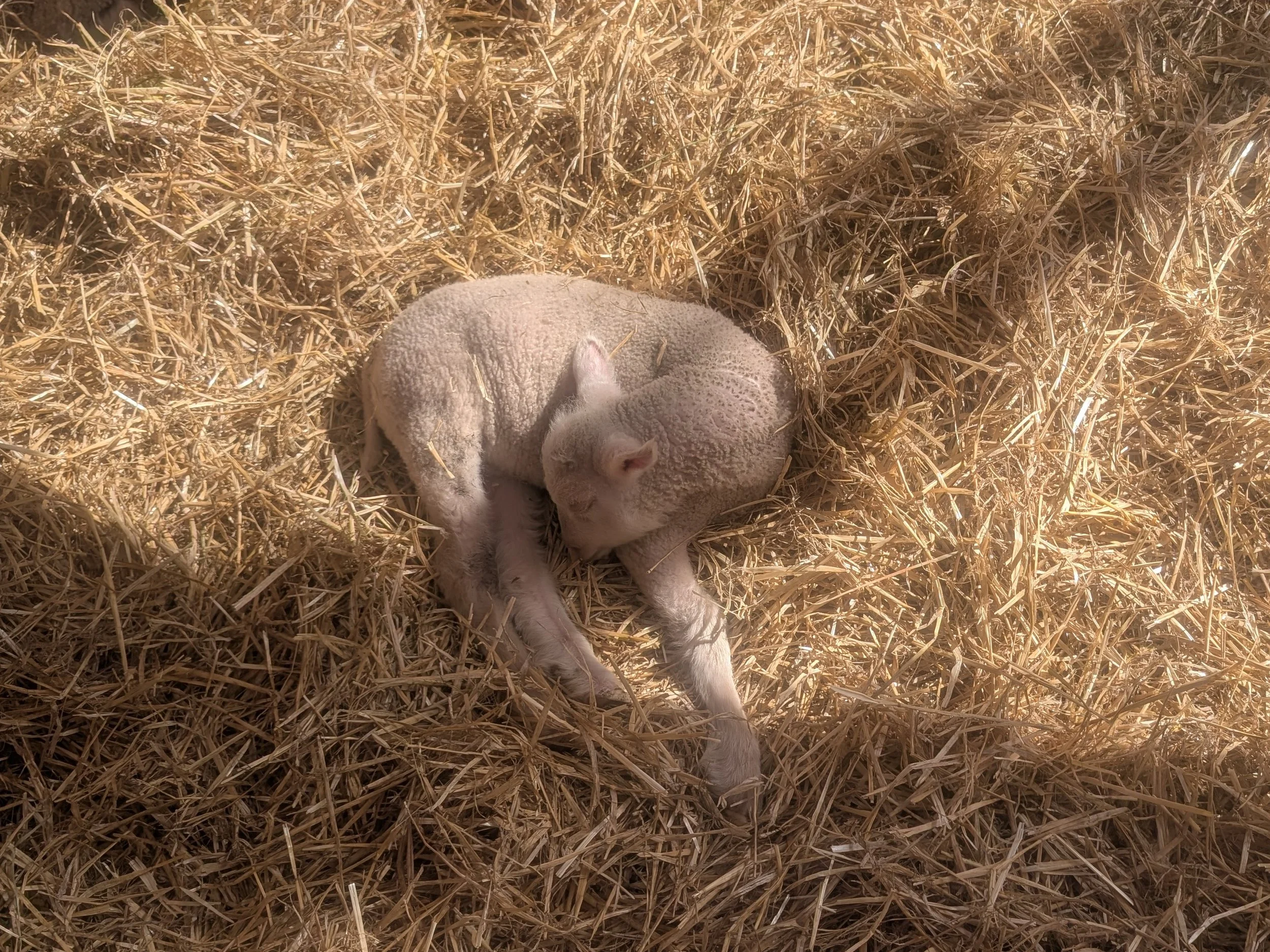 March came in like a lion