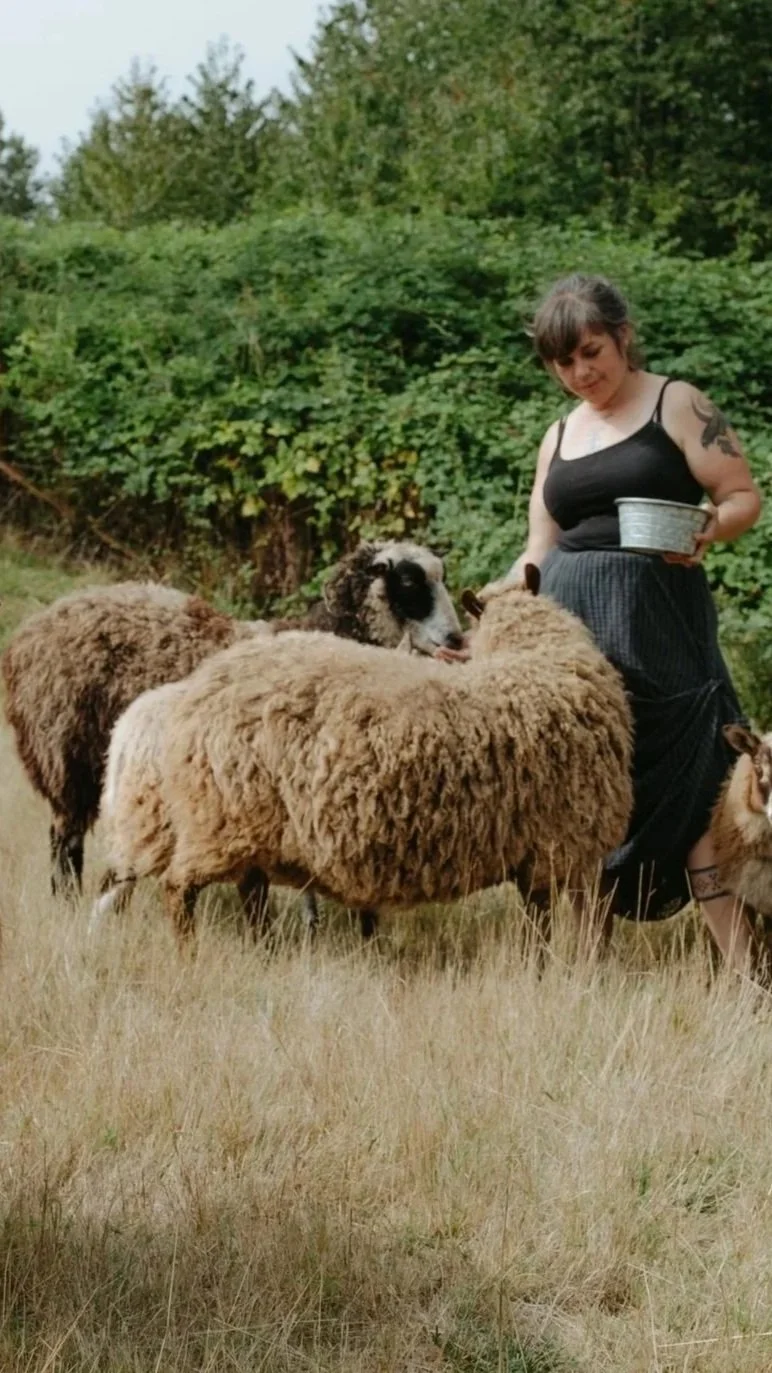 Finnsheep Herdshare