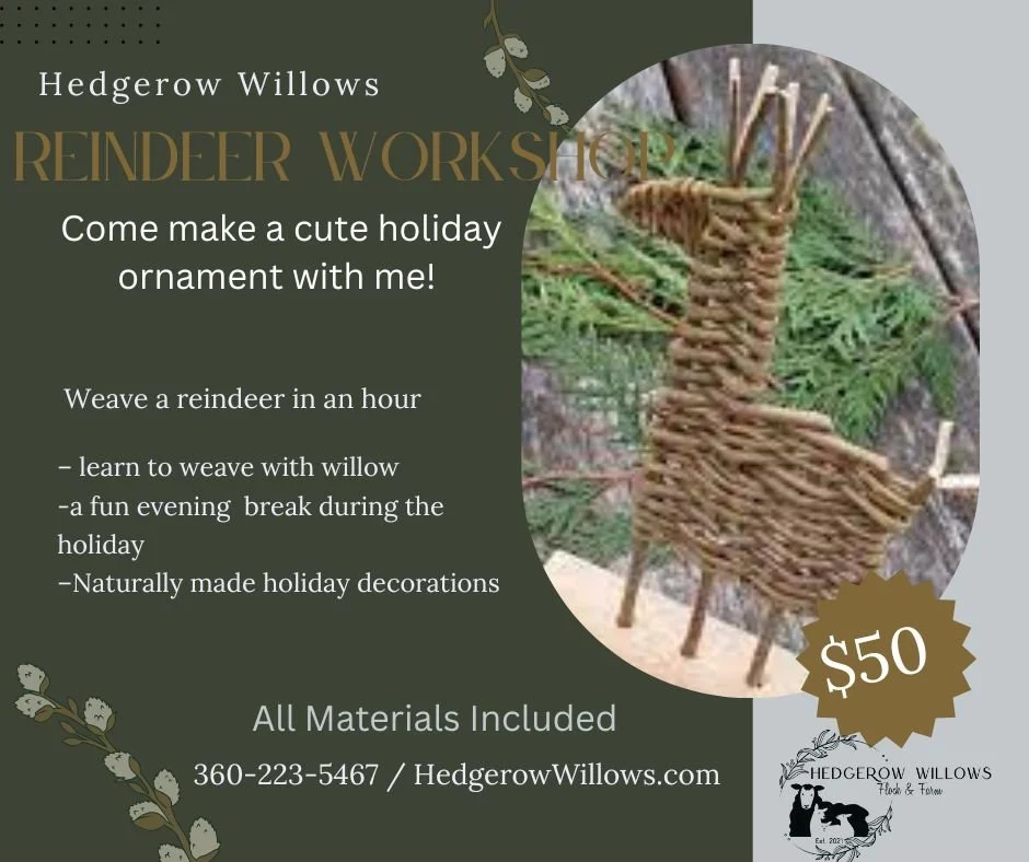 Reindeer Ornament Workshop