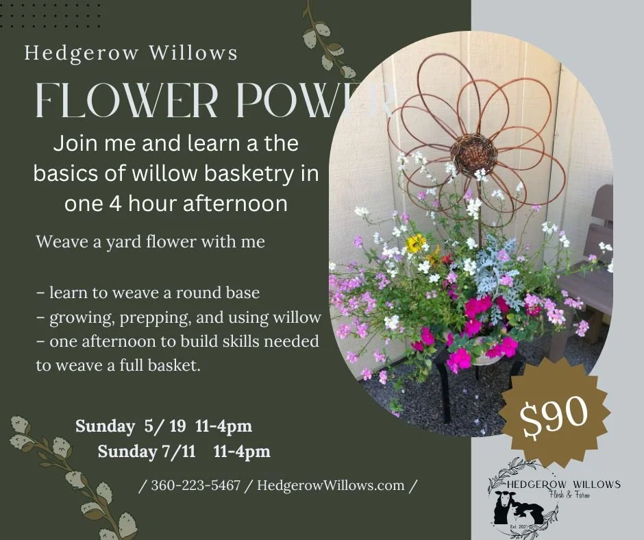Willow Flower Workshop 2026.jpg