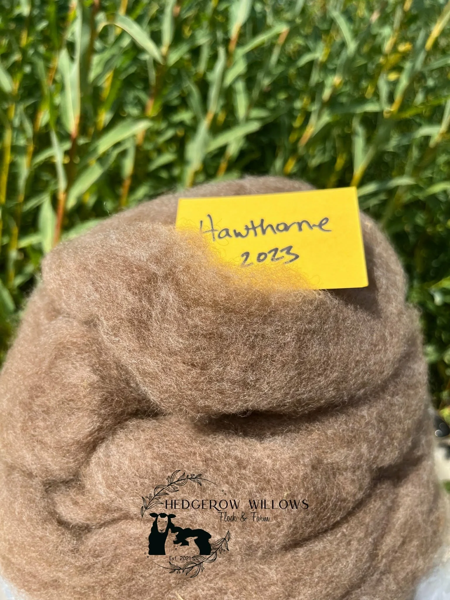 Hawthorne Roving for Handspinners