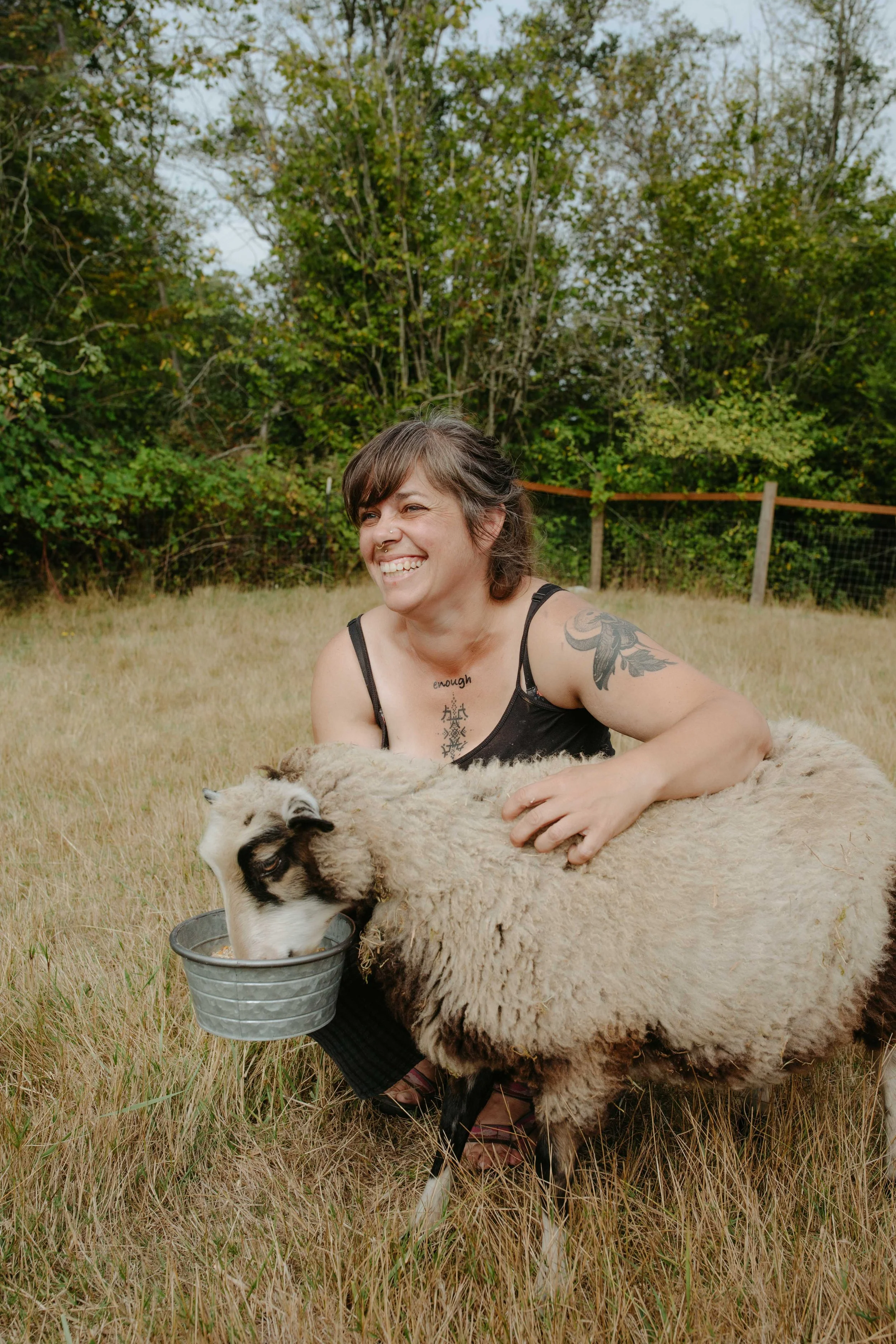 Hedgerow WIllows flock & farm "Fish" 2025 finnsheep lamb retained on the farm for fleece and sheep milk production