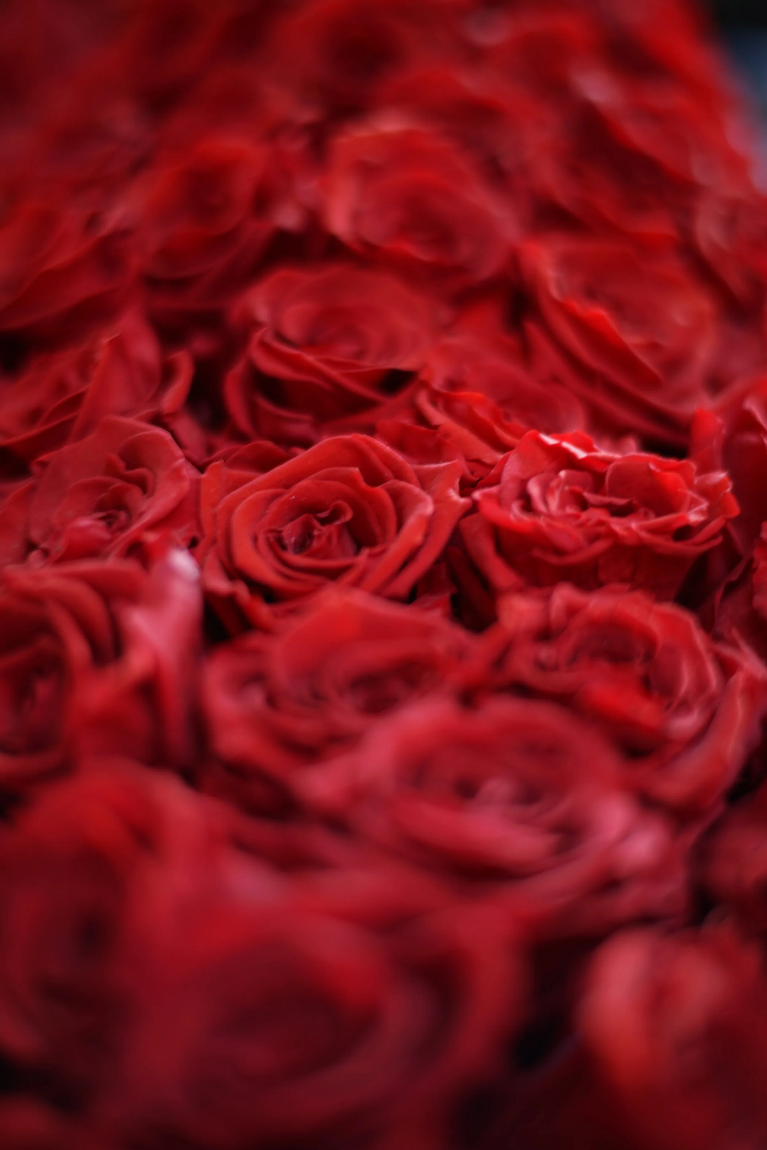 Exclusive Teppanyaki Dinner