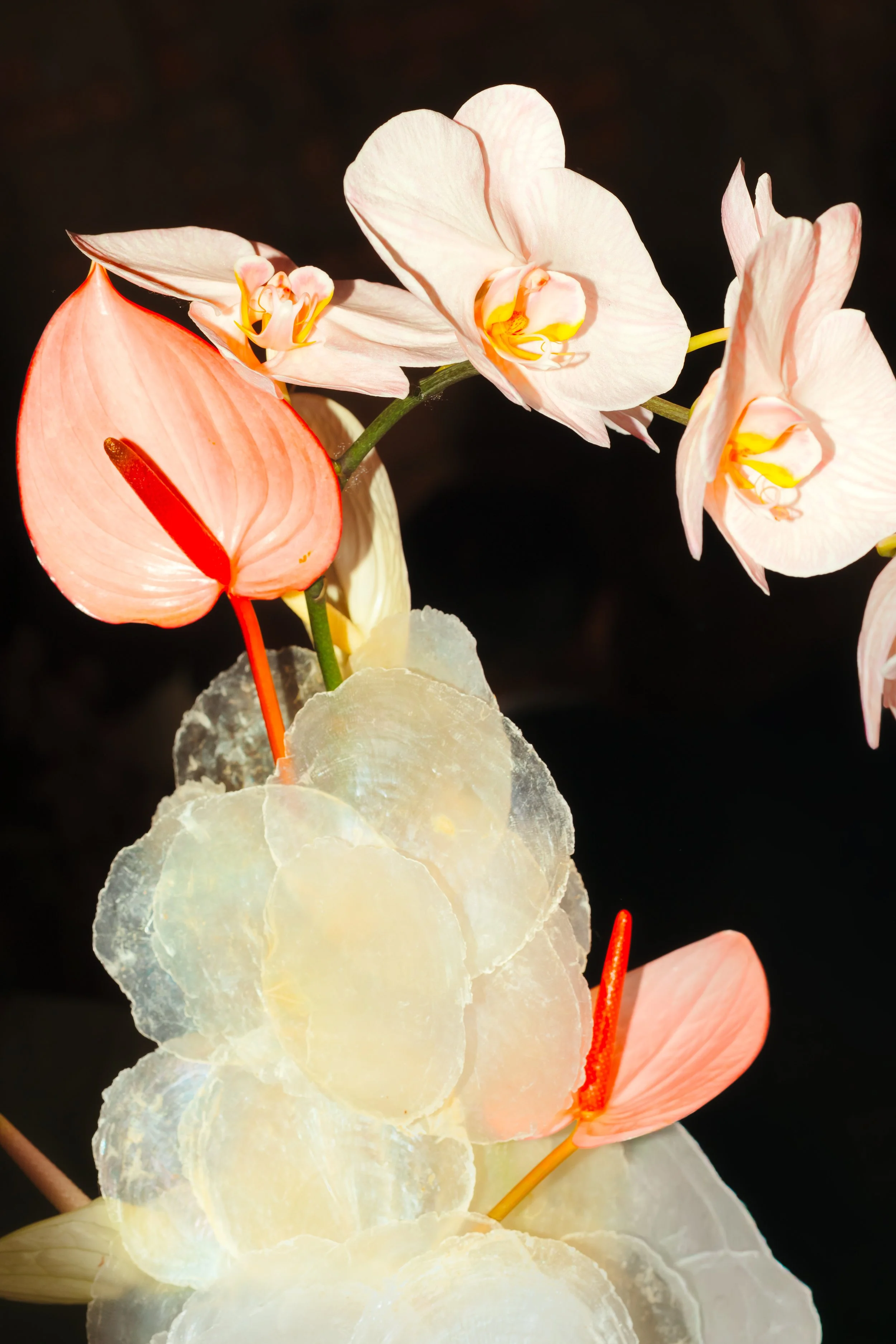 EJ-AskalMelbourneWedding-JacksonGrant-216.jpg