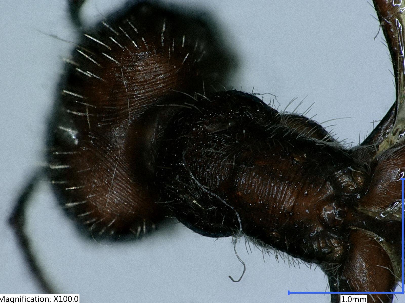 RESEARCH PAGE IMAGE.jpg