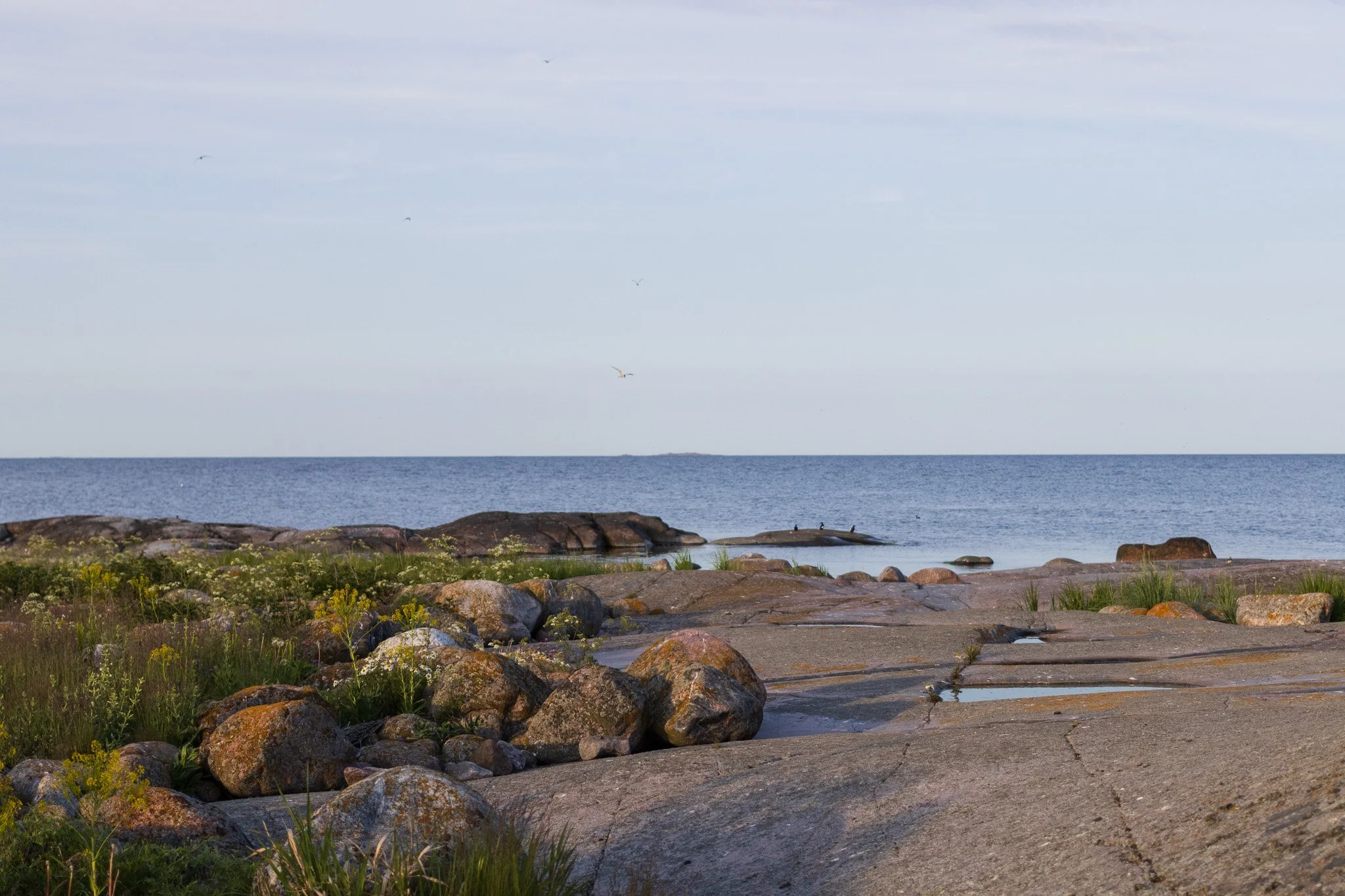 One of many remote islands in the Finnsh archipelago