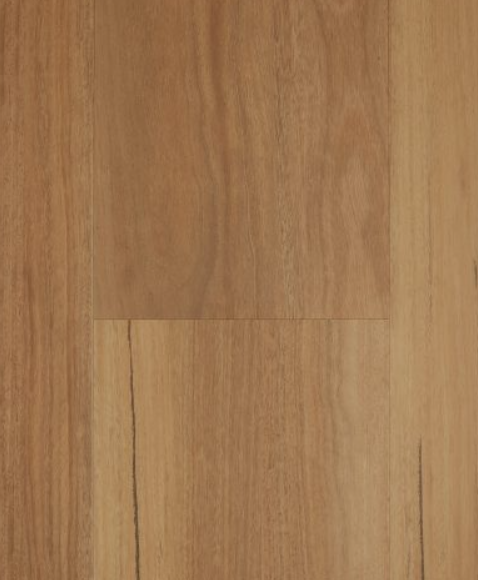Spotted Gum.png