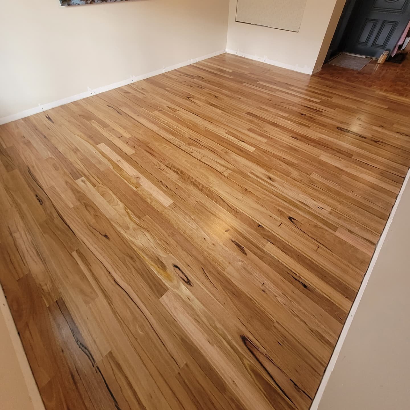 Our Client decided it was time to make a change from their Old Carpet 🤢 to New Blackbutt 🤩

Swipe 👉 for some Project Photos

To complete this Project we:

💥 Diamond Ground the Concrete Subfloor

💥 Supply and Applied Self-Levelling Compound to en