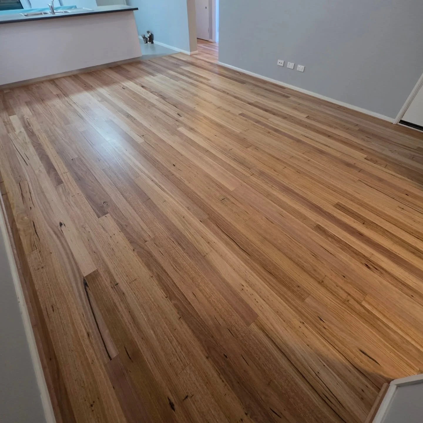 Our Client decided to bring their Existing Solid Blackbutt back to life - and gave us a call! 💫

Swipe 👉 for some Project Photos

To complete this Project, we:

🔥 Spot Filled, Re-Sanded and Sealed the Solid Blackbutt with 1 x Coat of Enviropro Tim