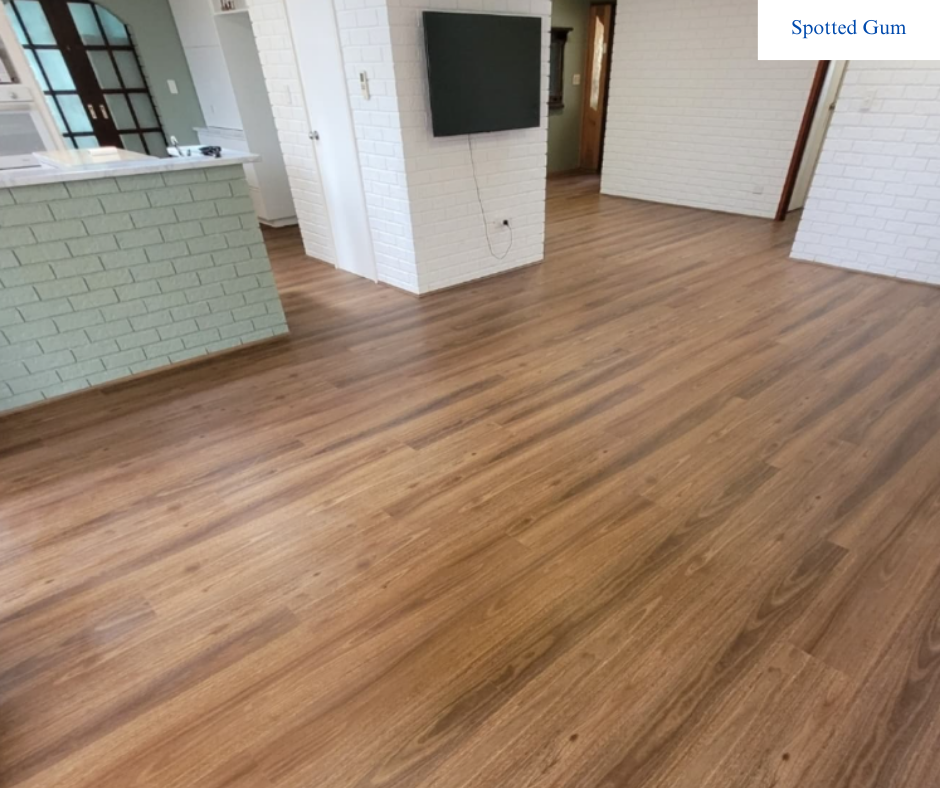 Spotted Gum.png