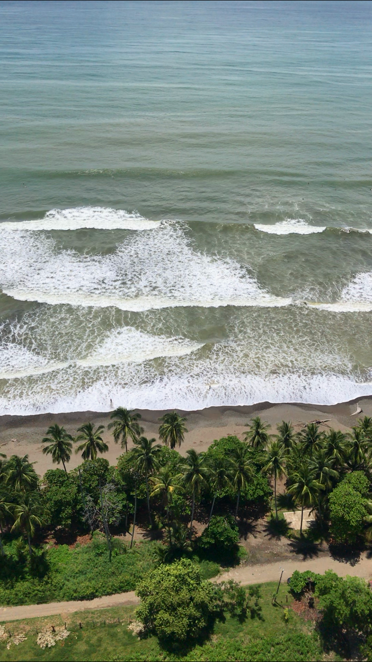 Aerial view of waves breaking on a palm-lined beach