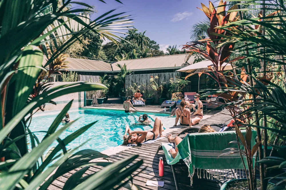 The pool at Danyasa surrounded by palms and loungers