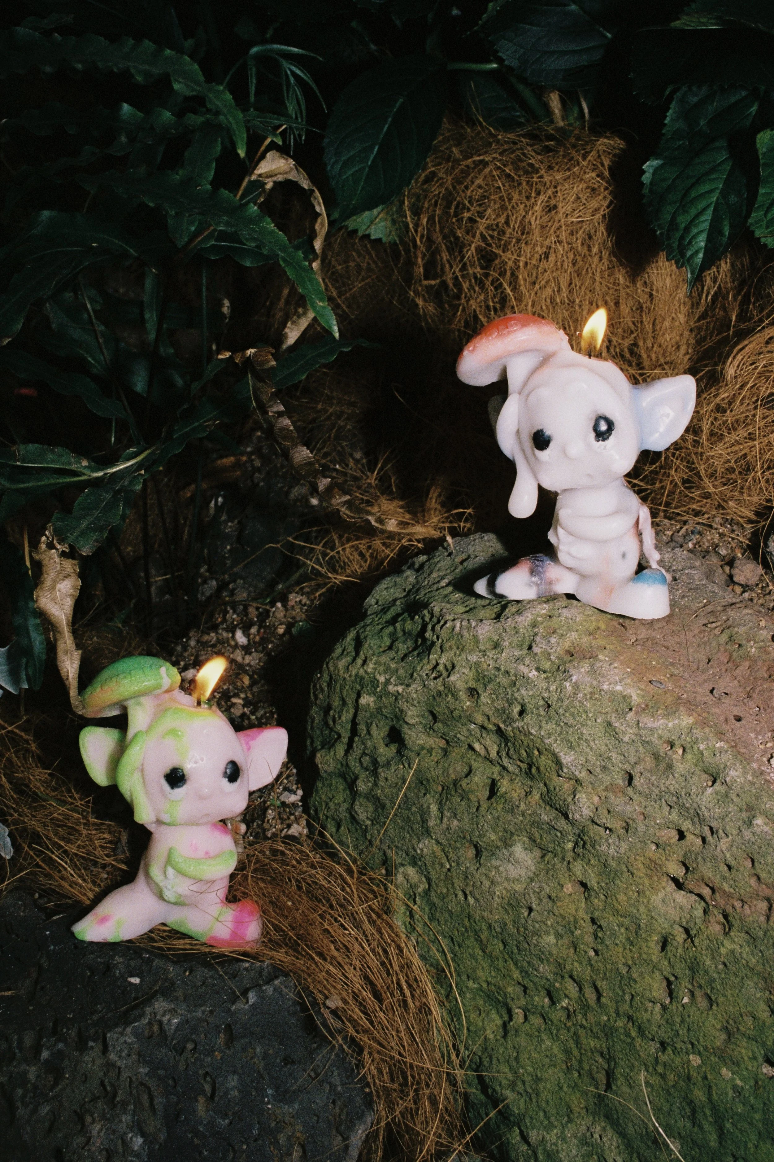 Lo-Fi Store x Hopeworld [2025]