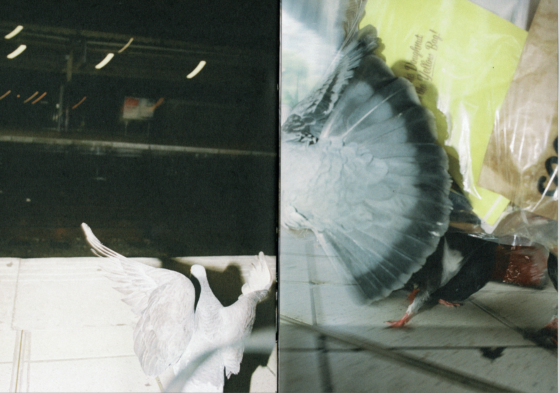 Screen Shot 2026-01-09 at 7.17.20 pm.png