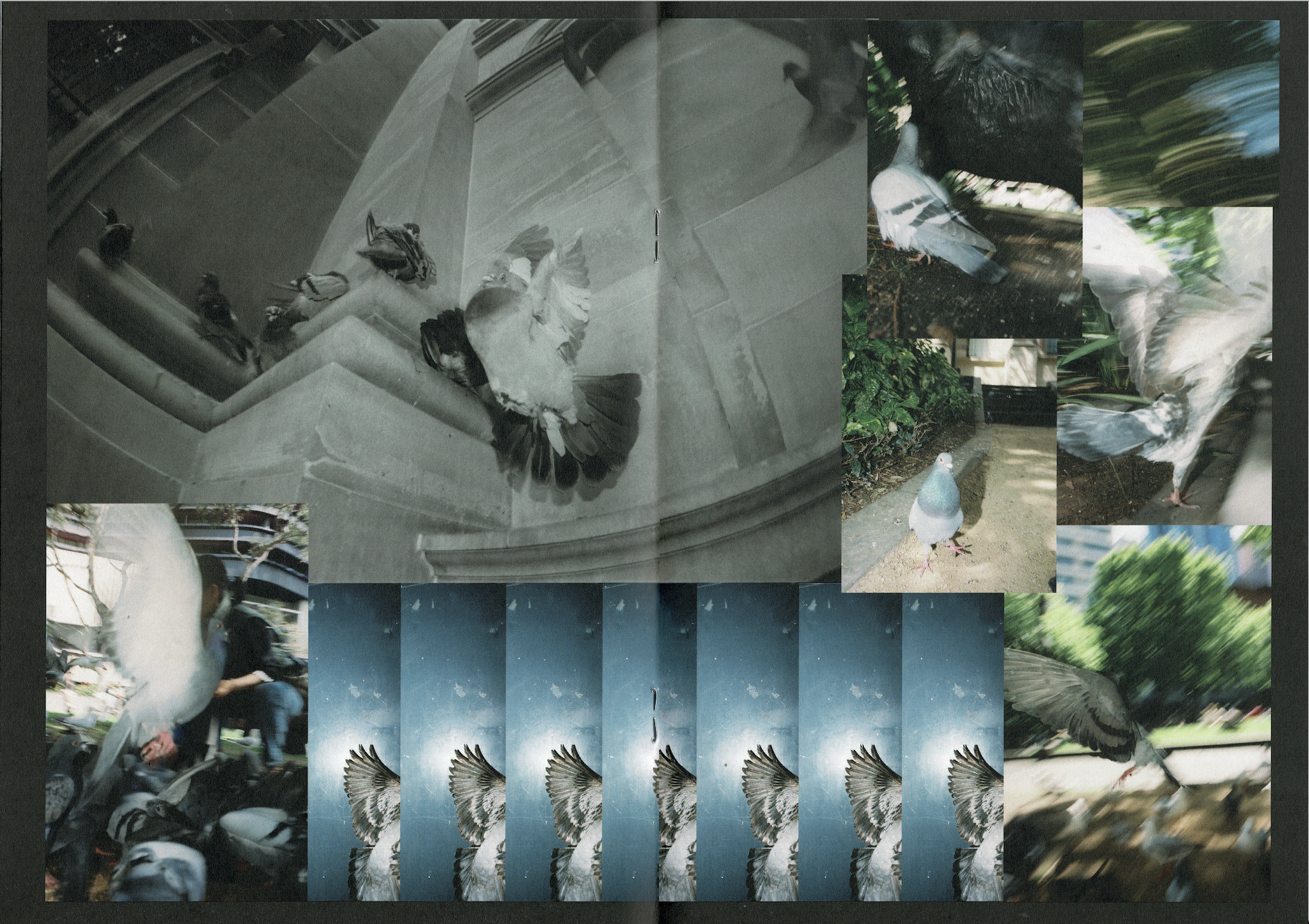 Screen Shot 2026-01-09 at 6.58.41 pm.png