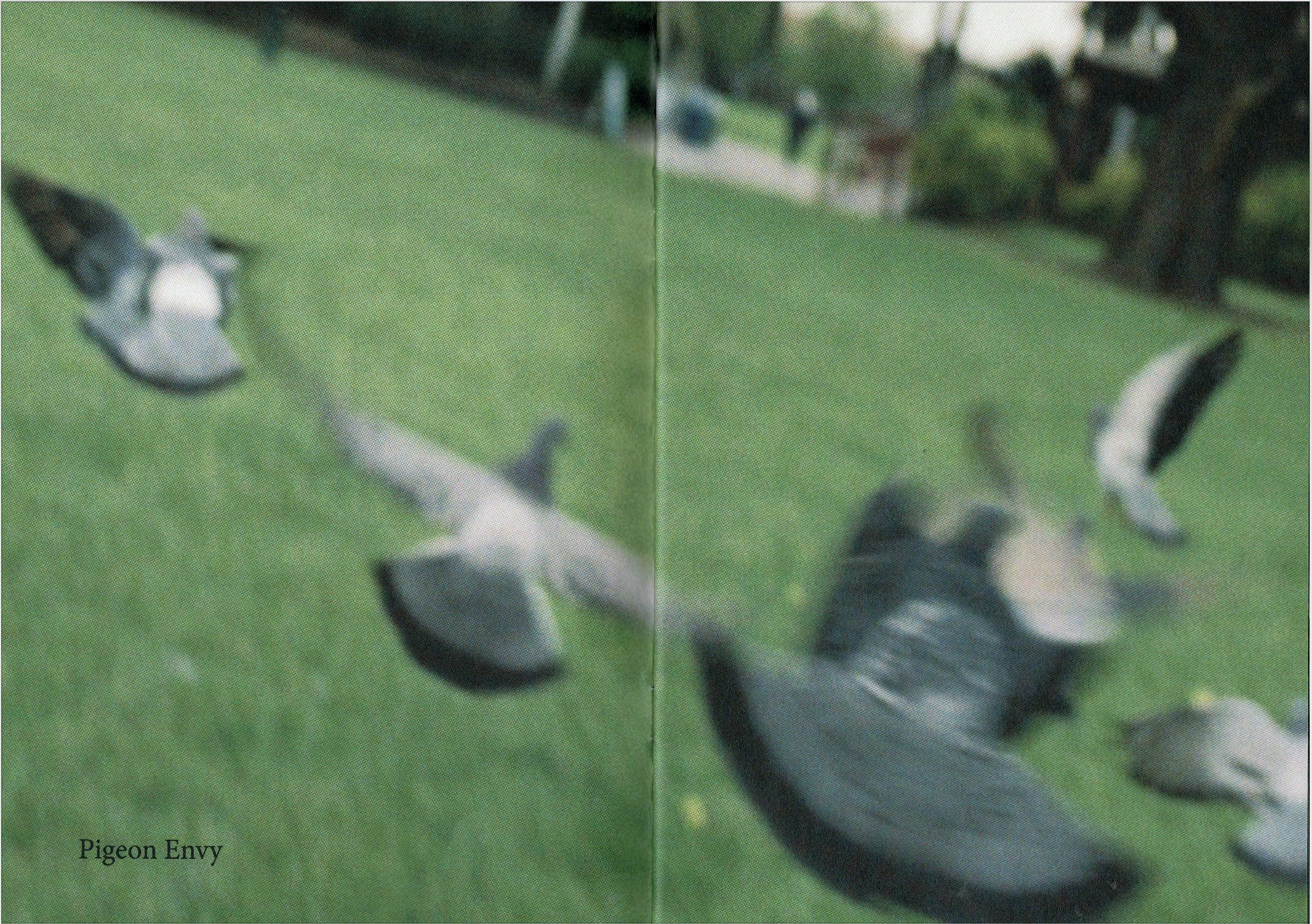 Screen Shot 2026-01-09 at 7.17.32 pm.png