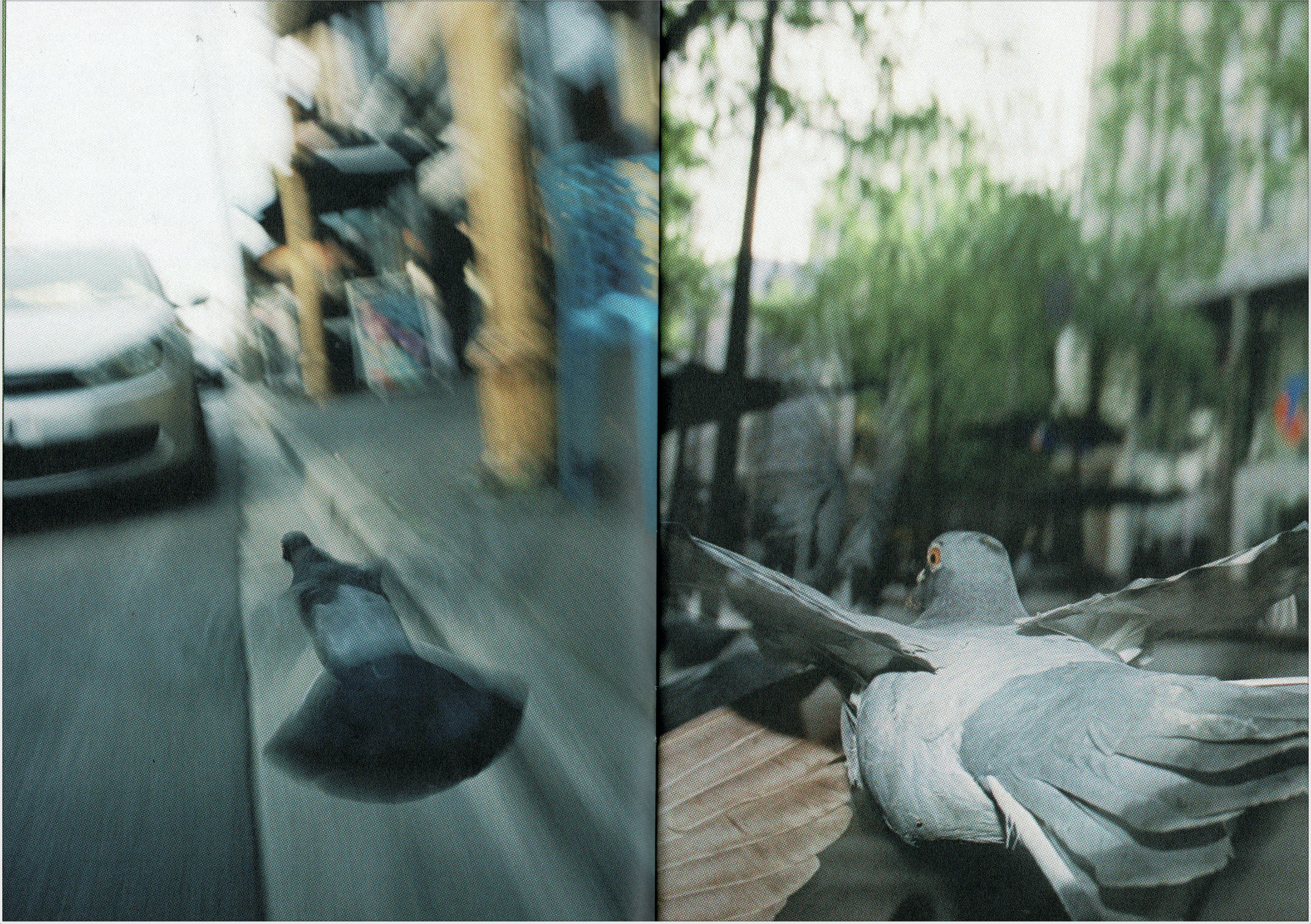 Screen Shot 2026-01-09 at 7.16.51 pm.png