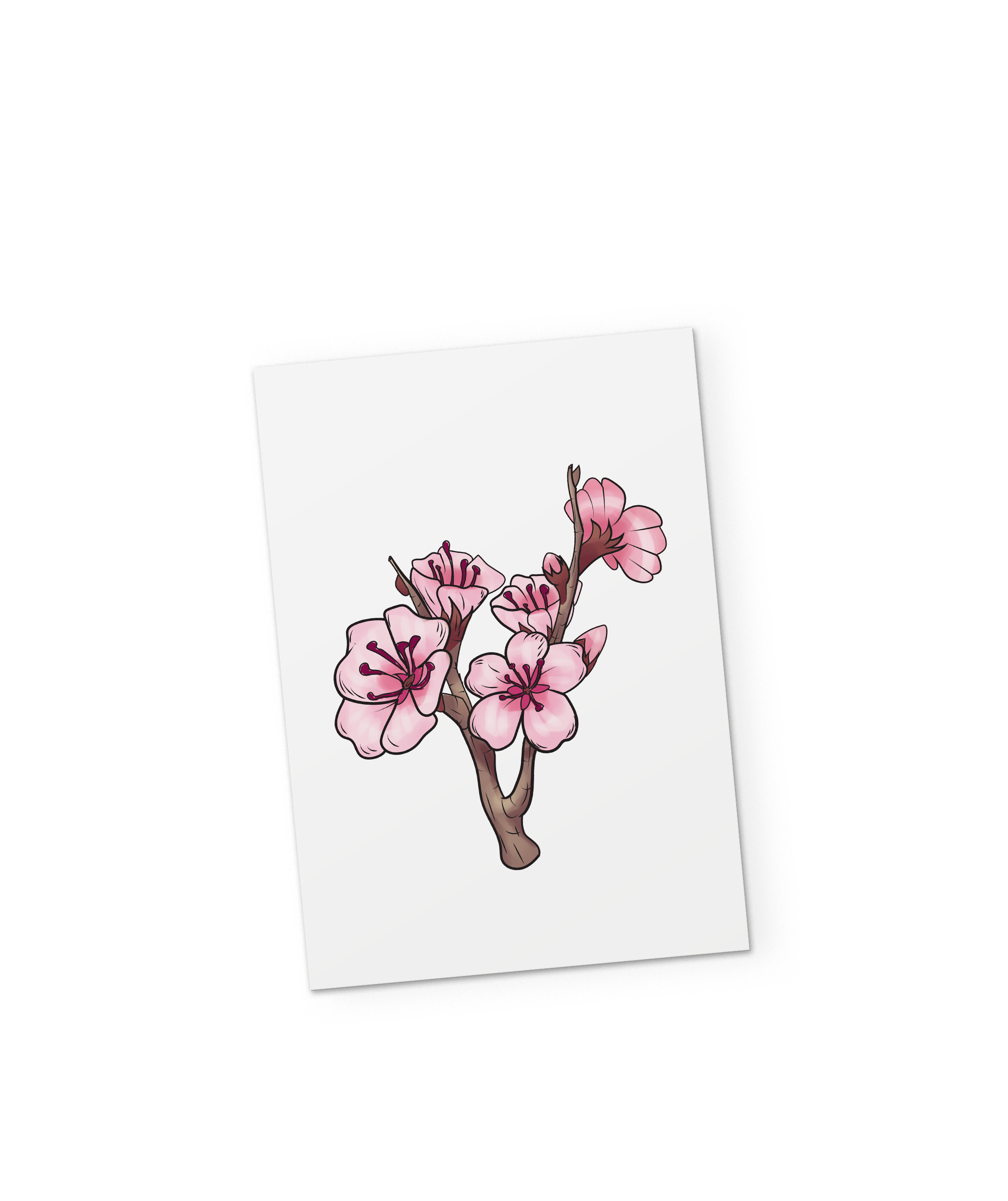 aaaaaaaa.png