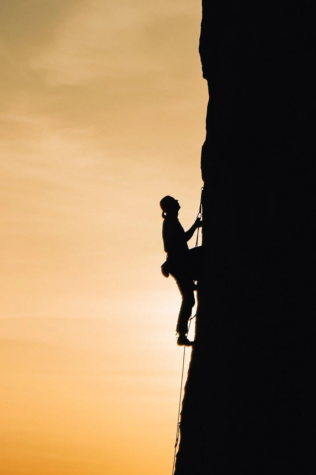 Career and job coaching