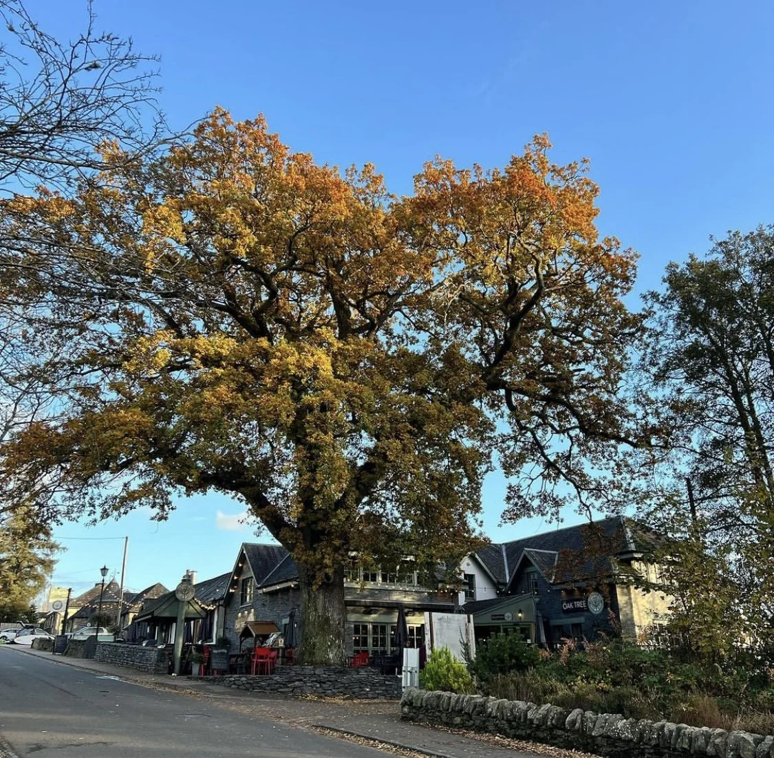 Acorn Writing Retreat: The Oak Tree Inn