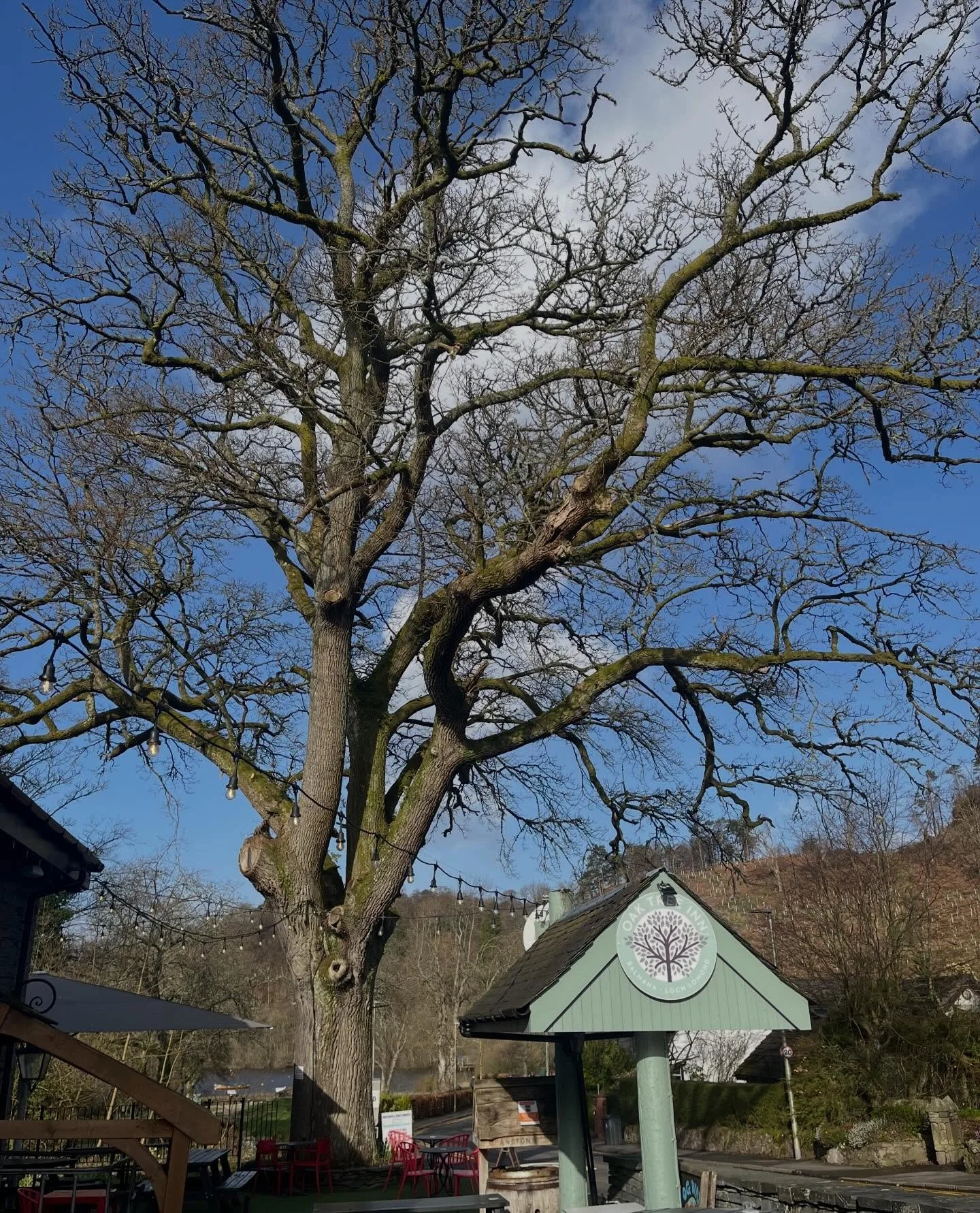 🌬️AWR29: Storming, Norming &amp; Performing 🌟

Beneath the branches of the beautiful oak, this week we gathered @oaktreeinn for another wonderful Acorn Writing Retreat.

This one felt significantly transformative for everyone involved. The writers 