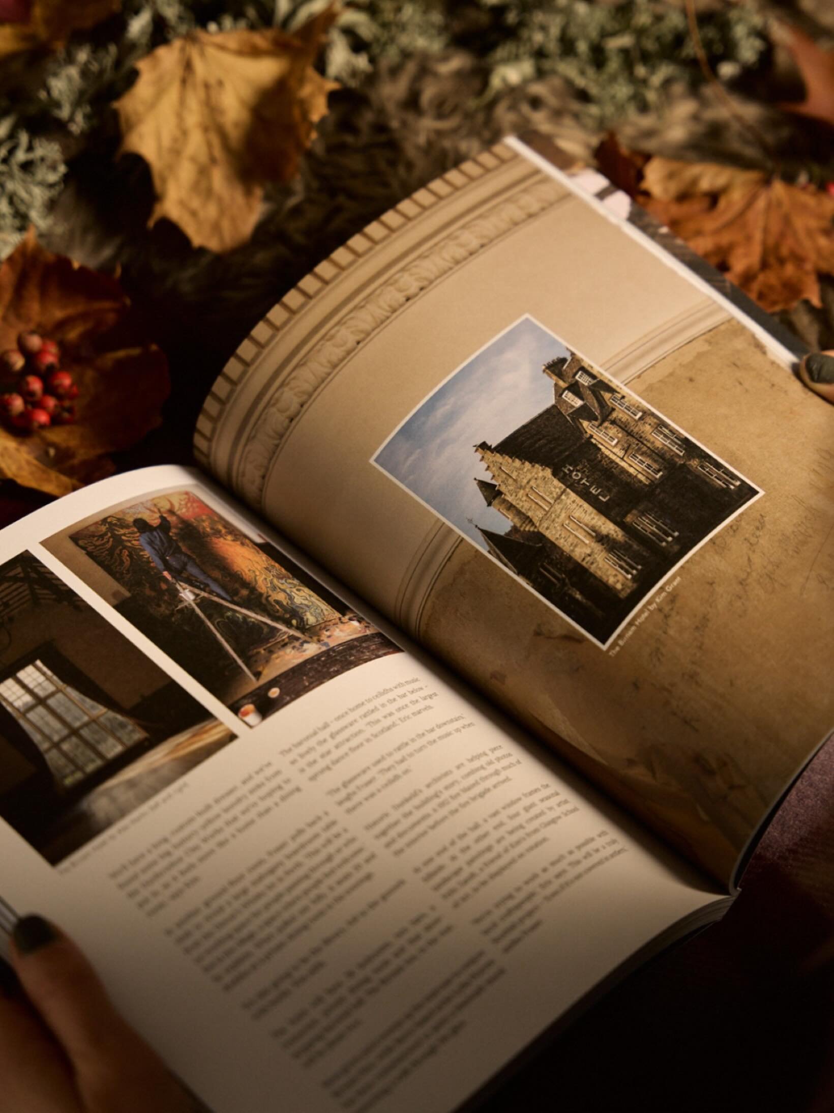 A wonderful surprise to see my butt in latest issue of @hiddenscotland captured wonderfully by @alexrmartin . A publication I always enjoy reading. This one gives a sneak peak behind the veil of the @birnamhotel restoration

#painting #felixzandt #ar