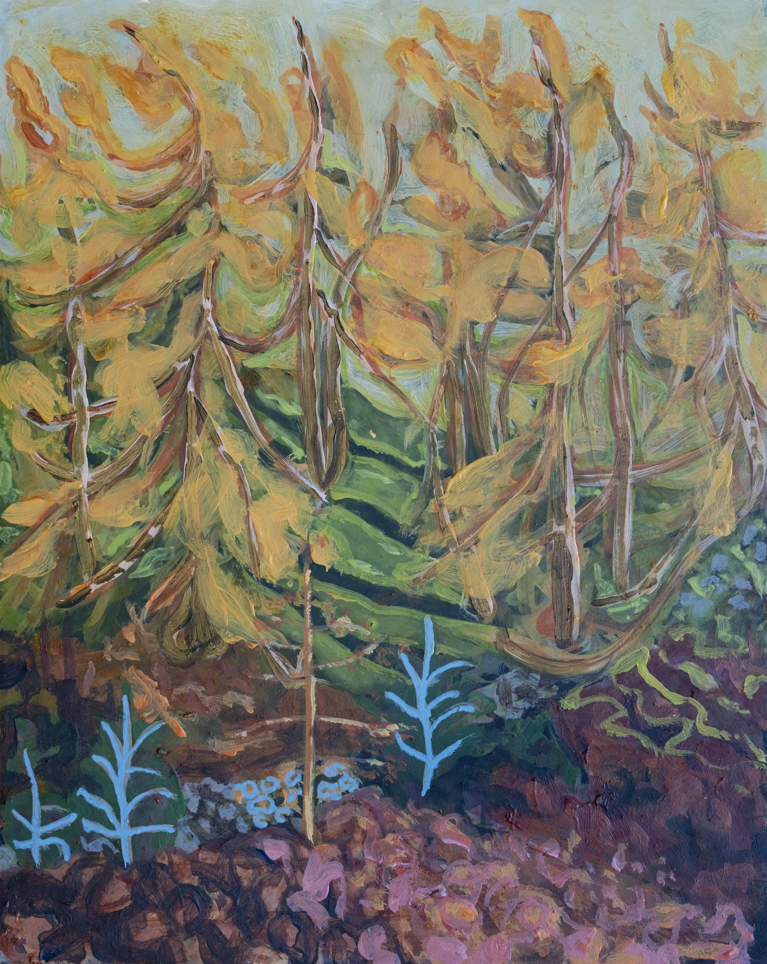 Larches on the Queen's Drive