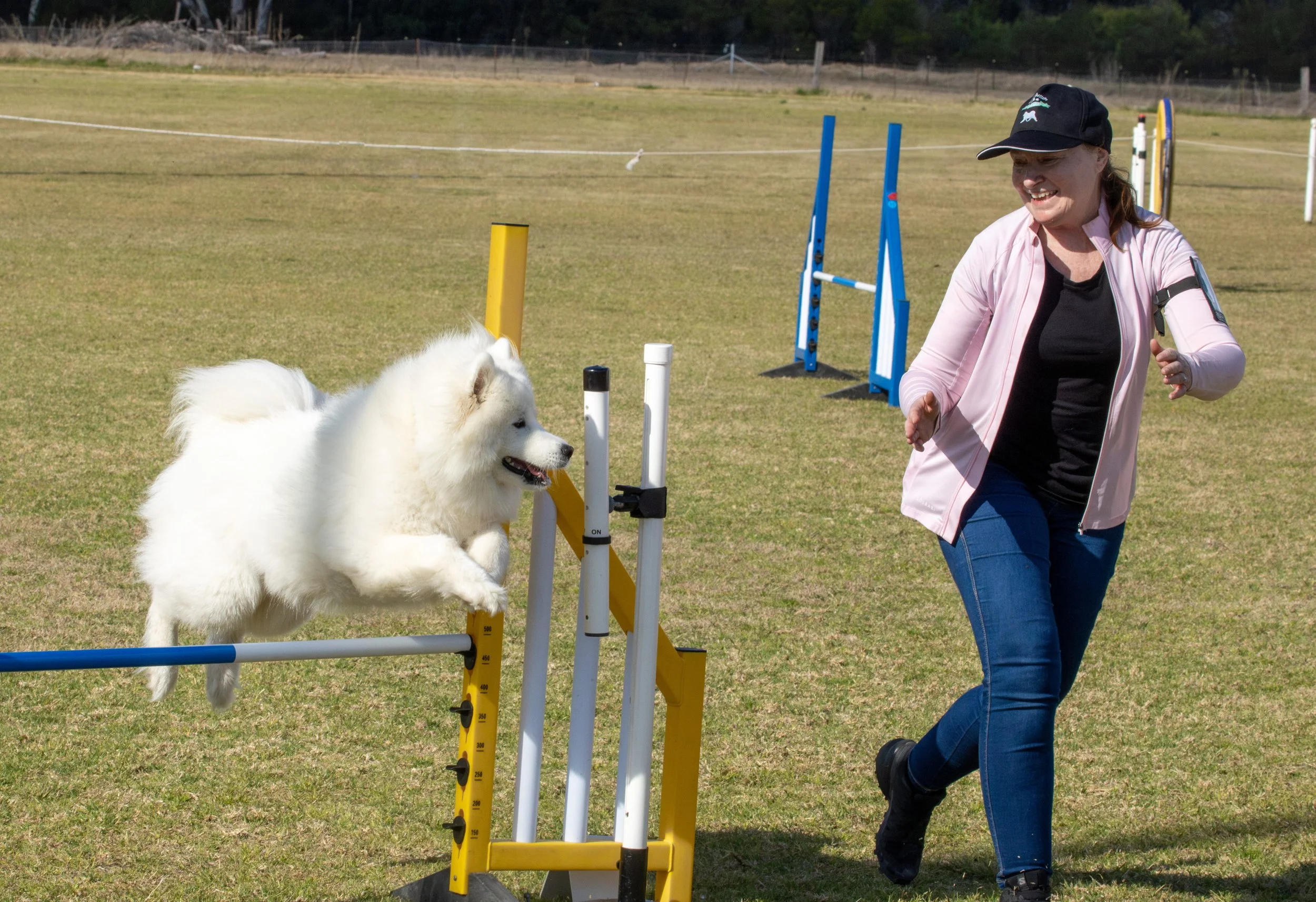 Agility Training (Single Session)