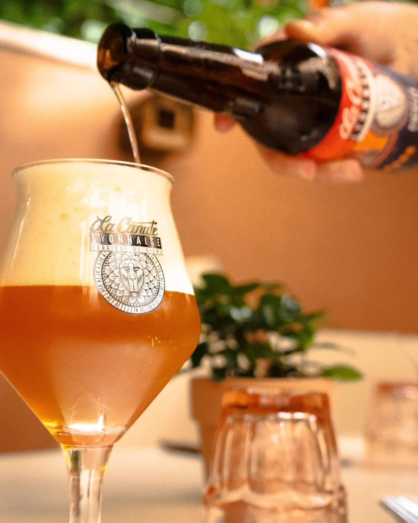 Une rencontre haute en couleur : La Canute ❤️
Des bi&egrave;res pleines d'histoires de quartiers, faites par des gens pleins de talent et d'humour avec qui on pourrait en d&eacute;capsuler des dizaines... @lacanutelyonnaise 🍻

📸 @nap0o_ 

#biereloc