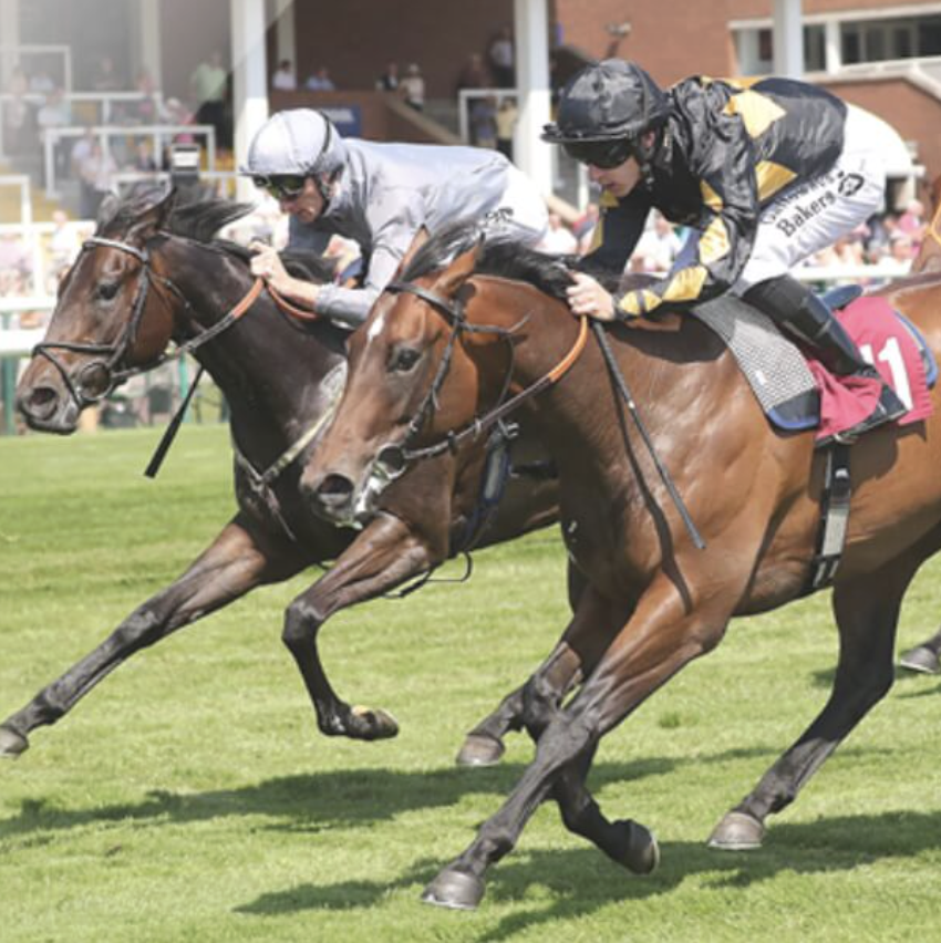 Get free horse racing tickets (2,500 pairs available per event)