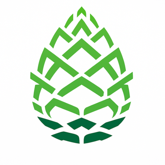 Pinecone – Get a $5 sign up bonus 📝