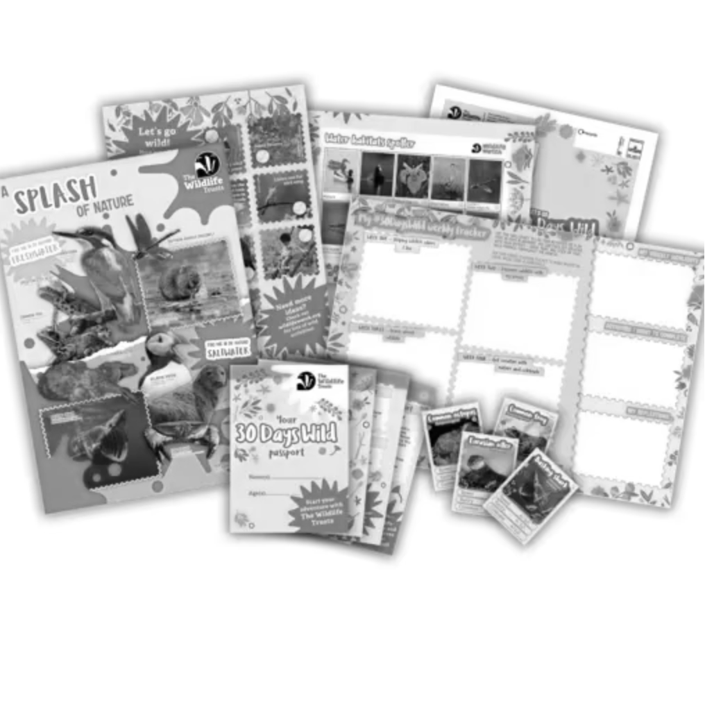 FREE kids or adults wildlife pack inc. free seeds